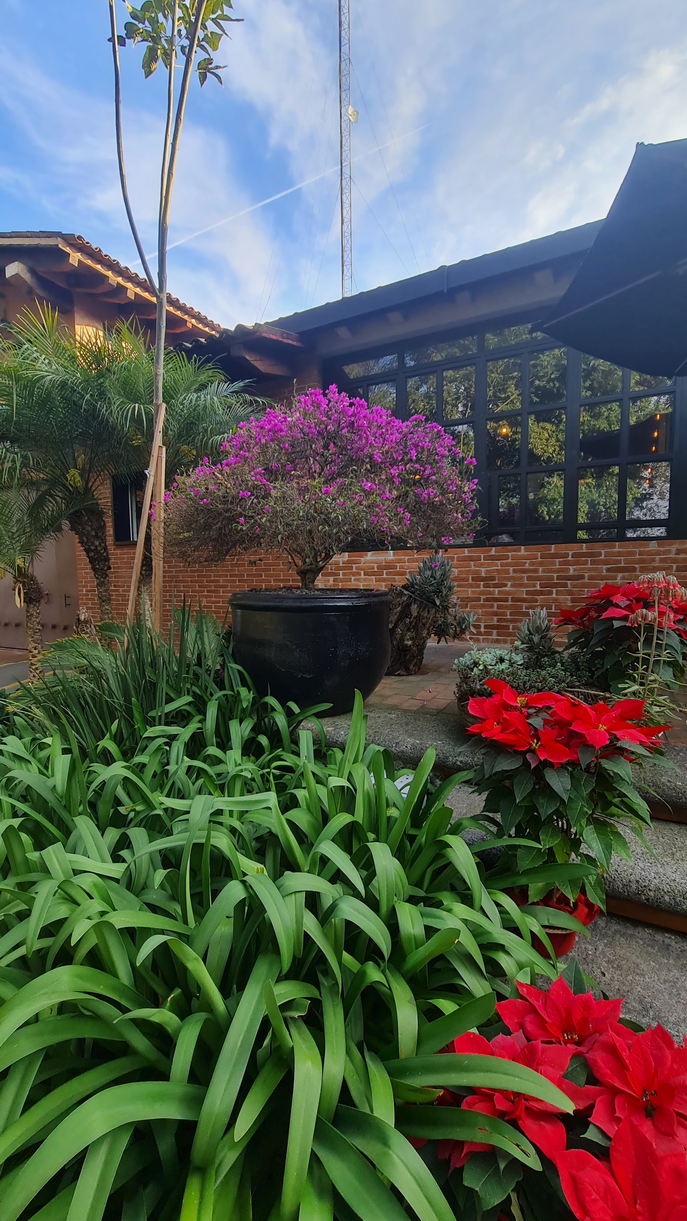 Bocanegra Miscelánea Rústica image 3