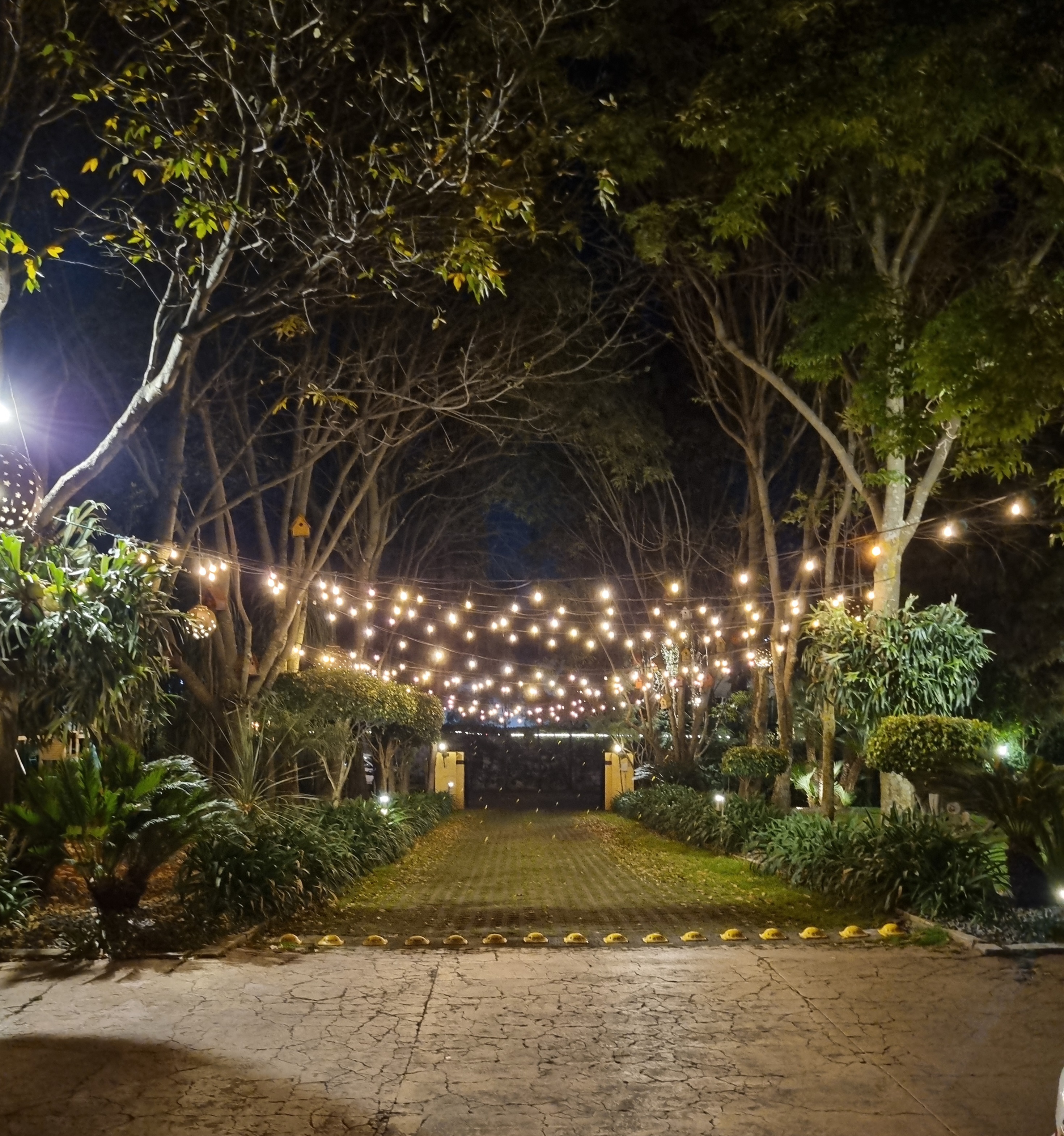 Bocanegra Miscelánea Rústica image 4