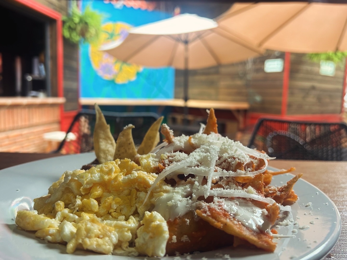 Patio Argentino image 10