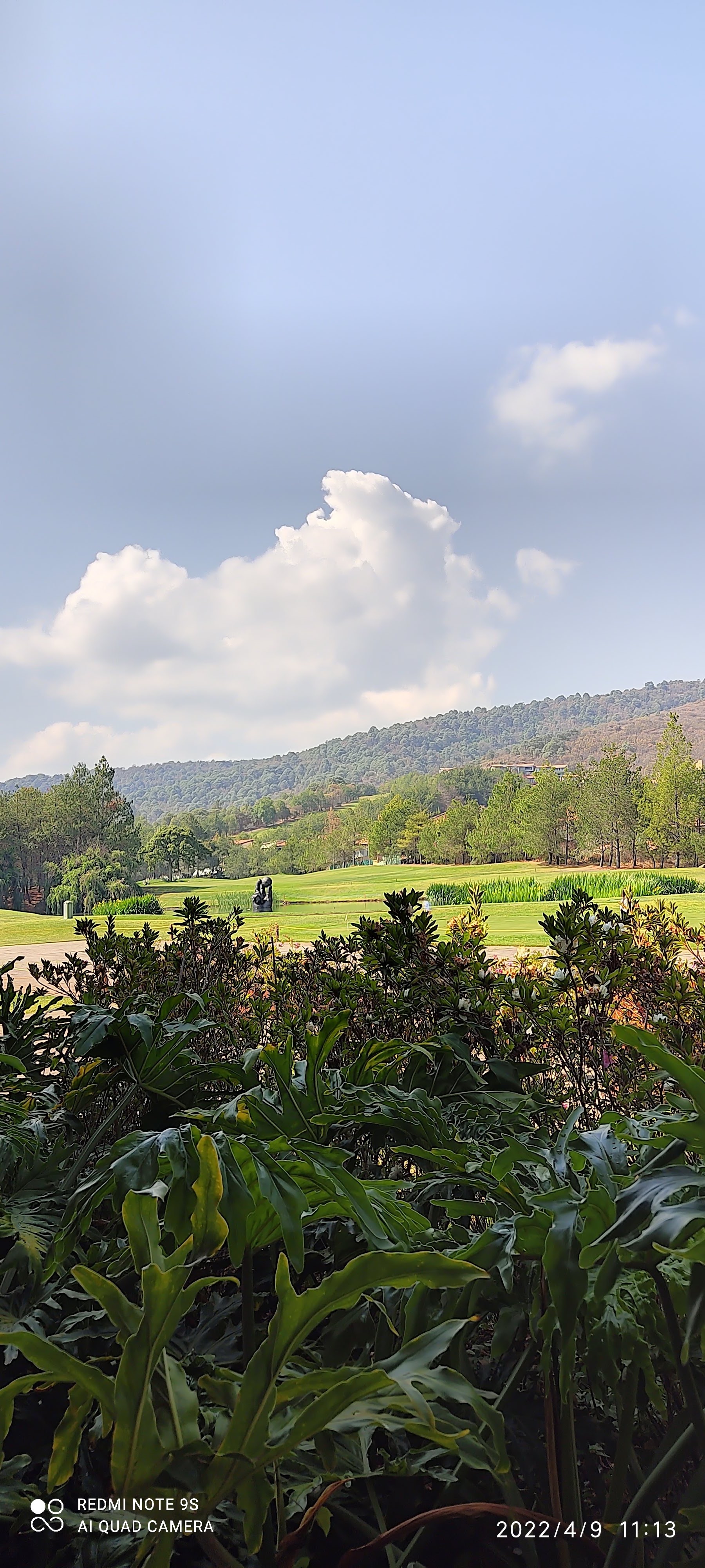 Hoyo 19 Altozano. image 6