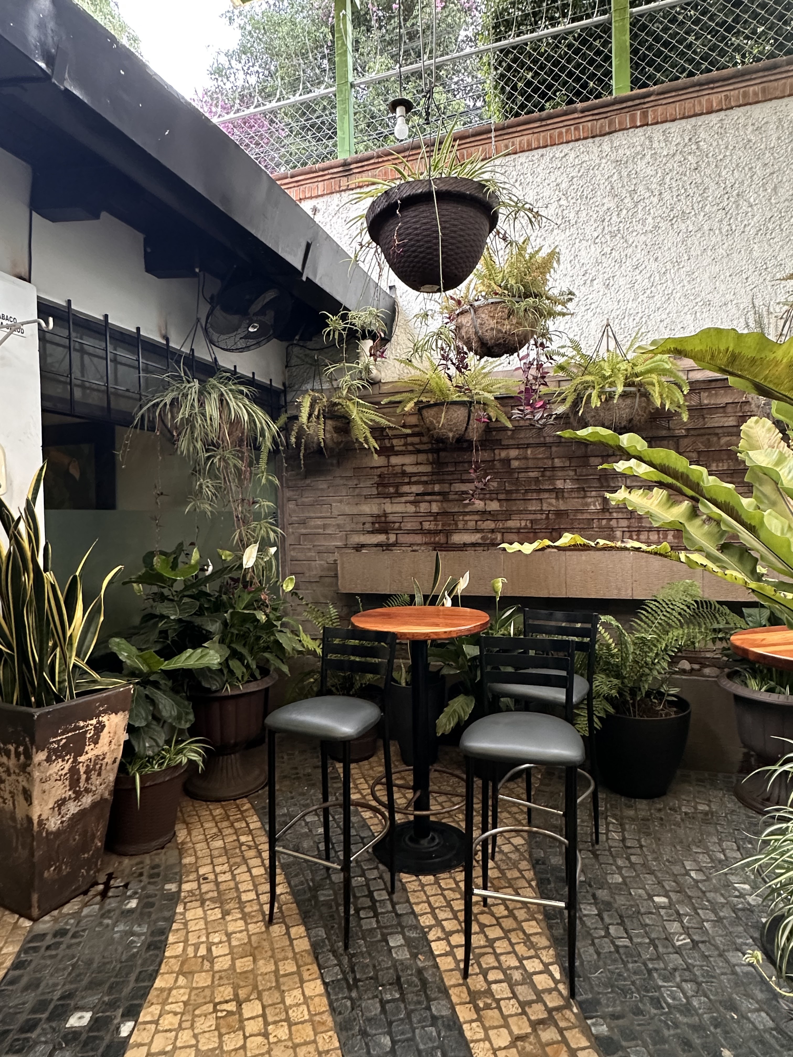 Restaurante Amazonia image 9