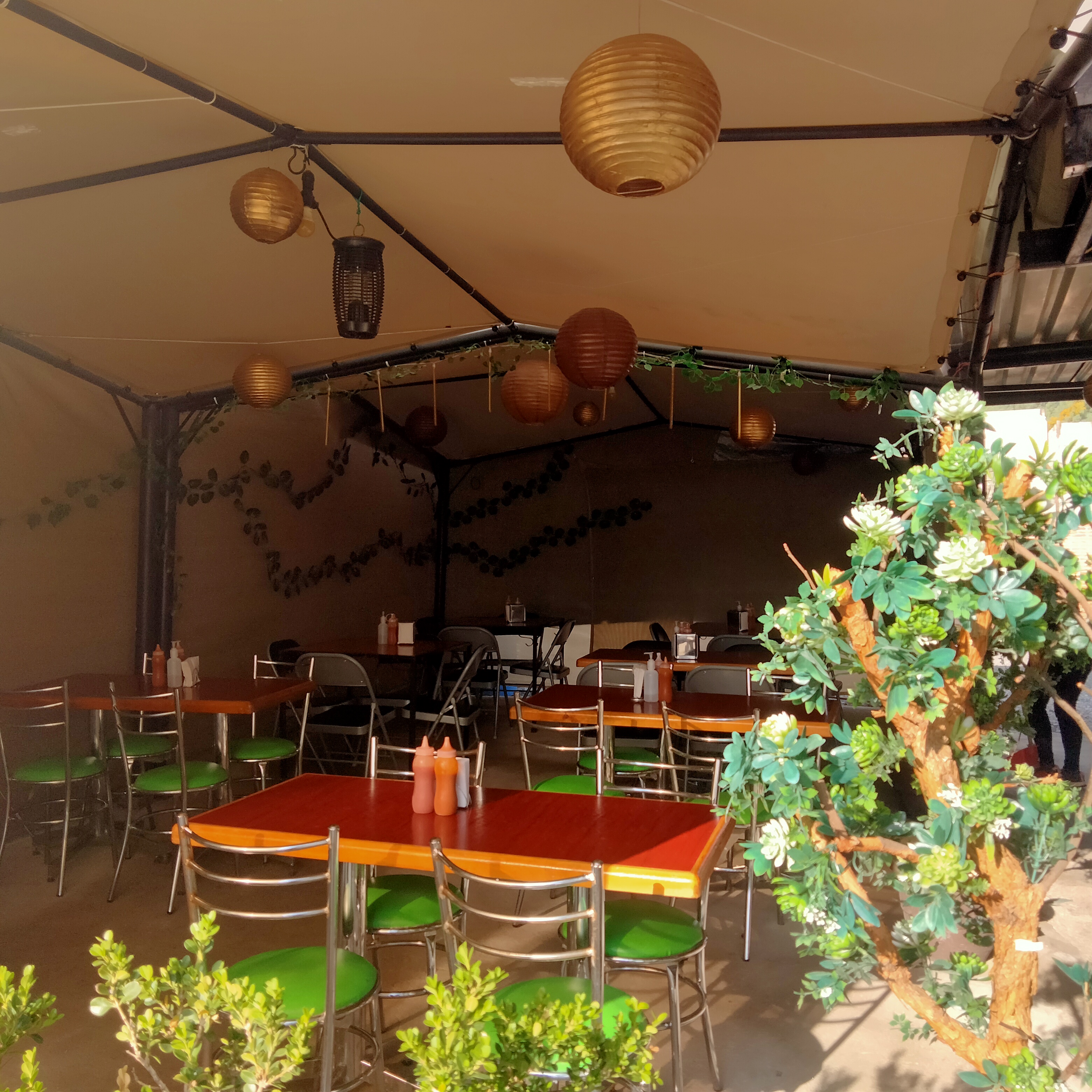 Angry Wings (Wok & Wings) image 9