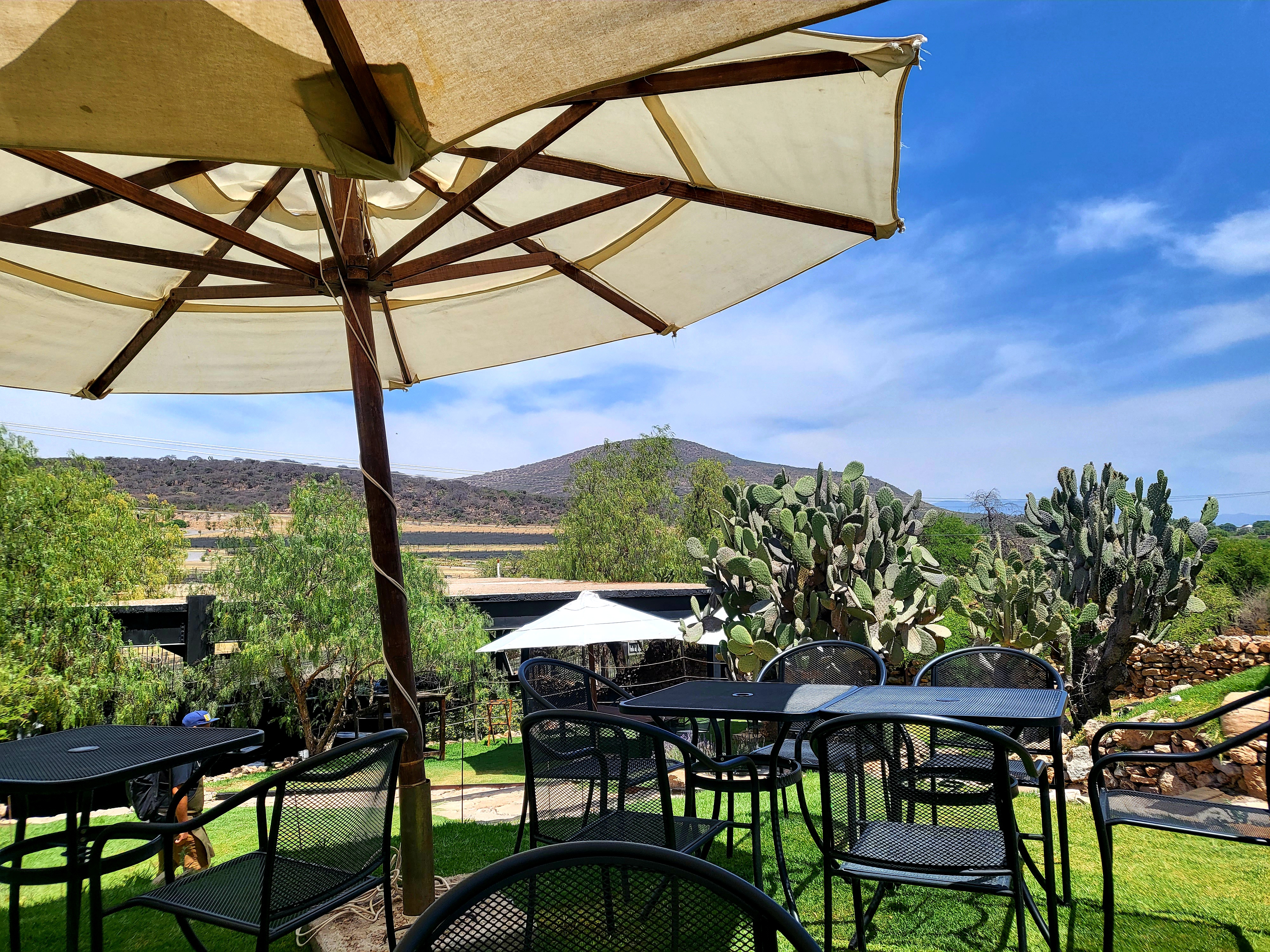 Puerta Del Lobo - Restaurante Ruinas image 1