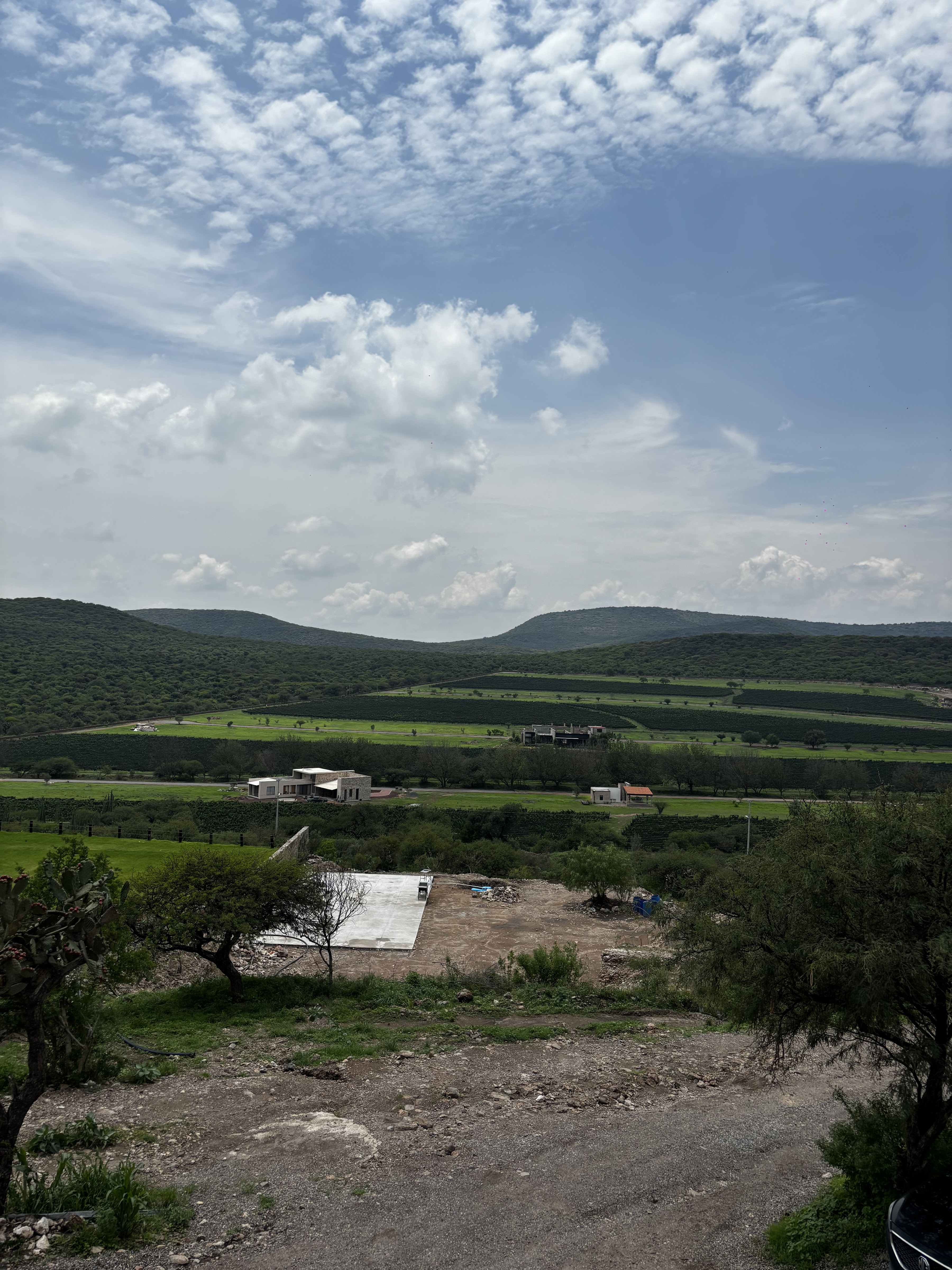 Puerta Del Lobo - Restaurante Ruinas image 4