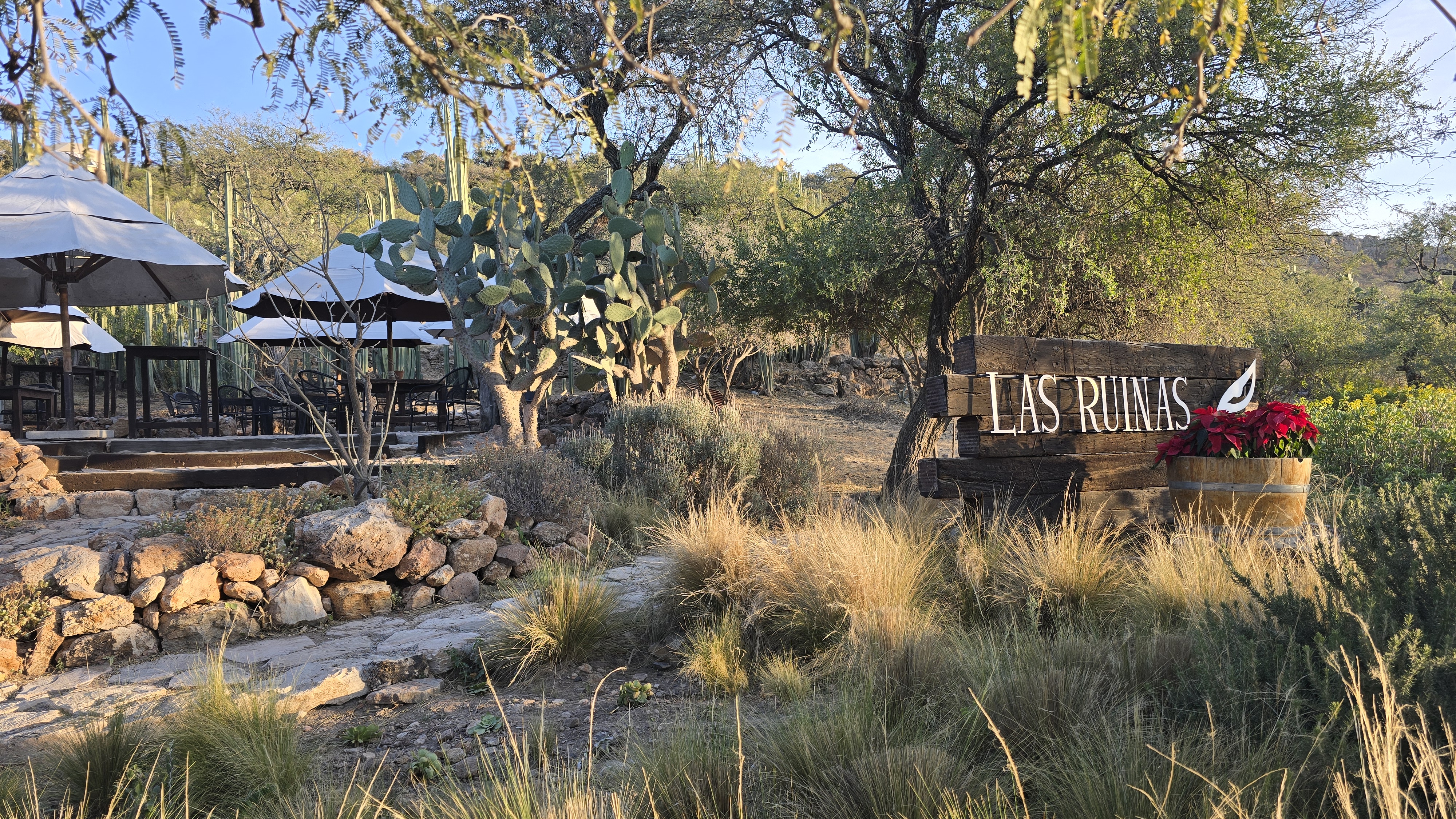 Puerta Del Lobo - Restaurante Ruinas image 5