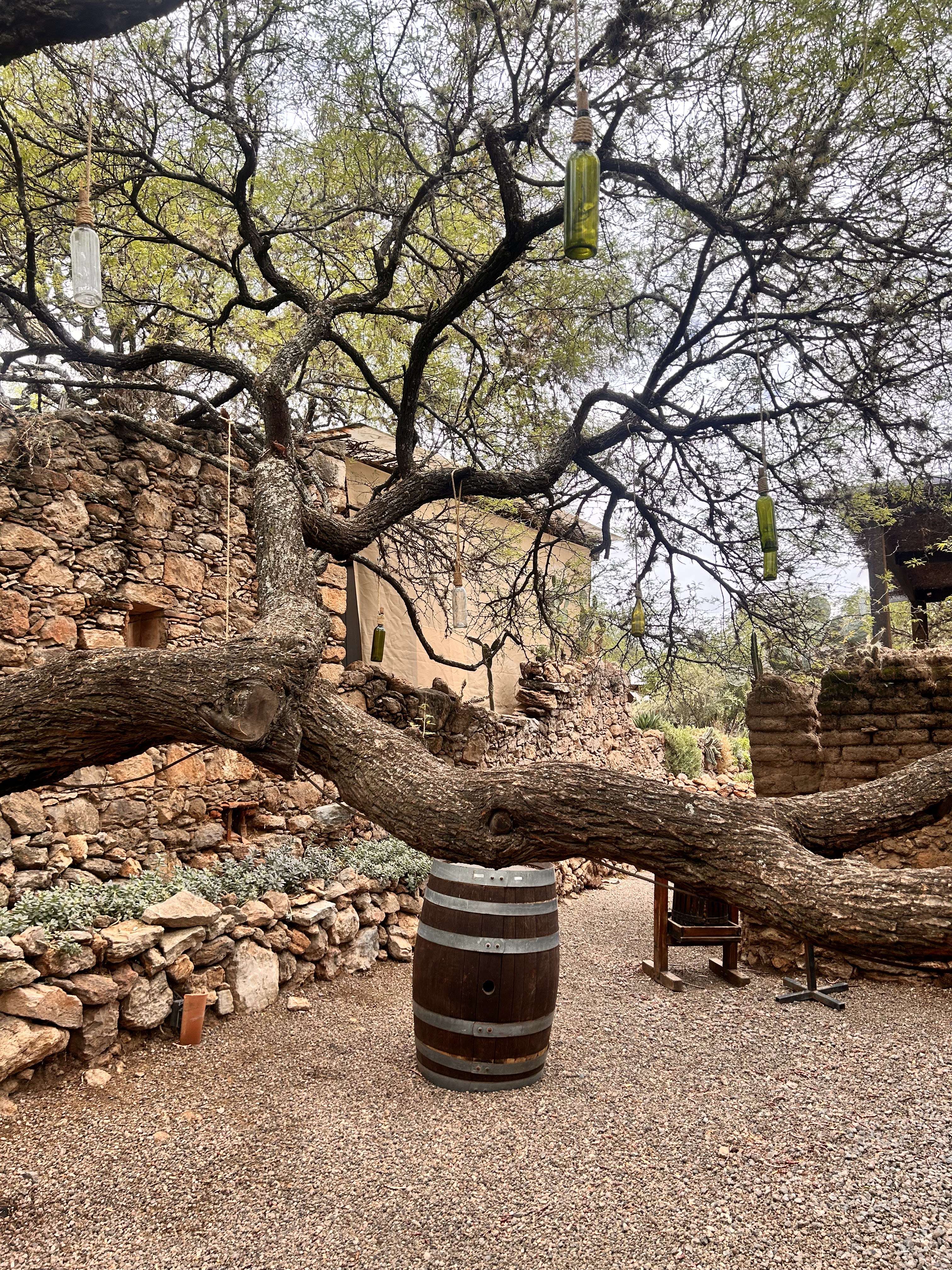 Puerta Del Lobo - Restaurante Ruinas image 7