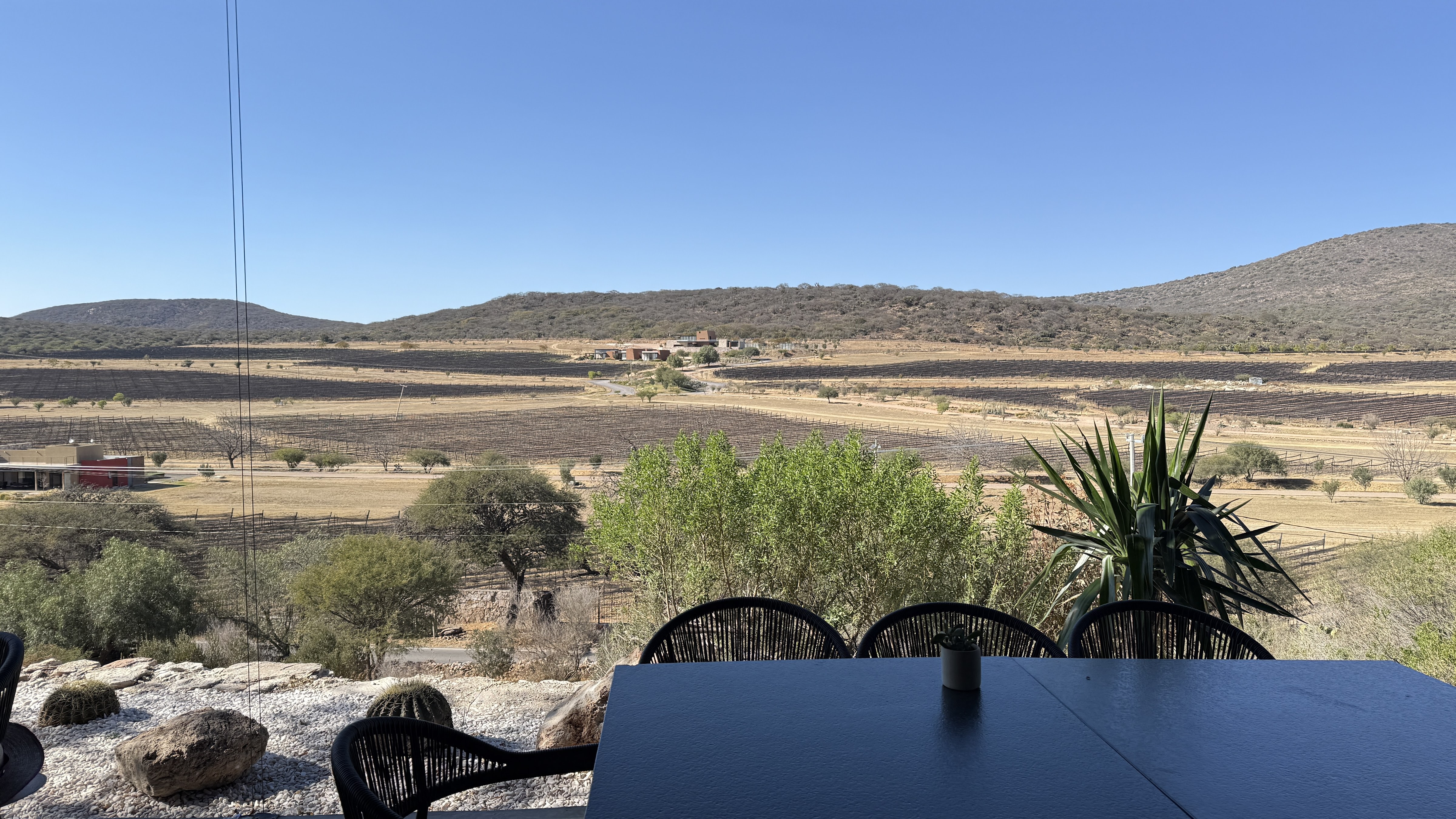 Vertical Restaurante y Bar - Viñedos Puerta del Lobo image 3