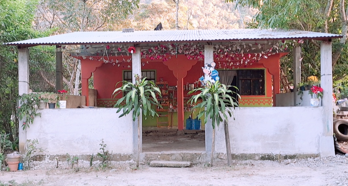 COMEDOR, ANTOJITOS Y PLATILLOS "MICHELL" image 5