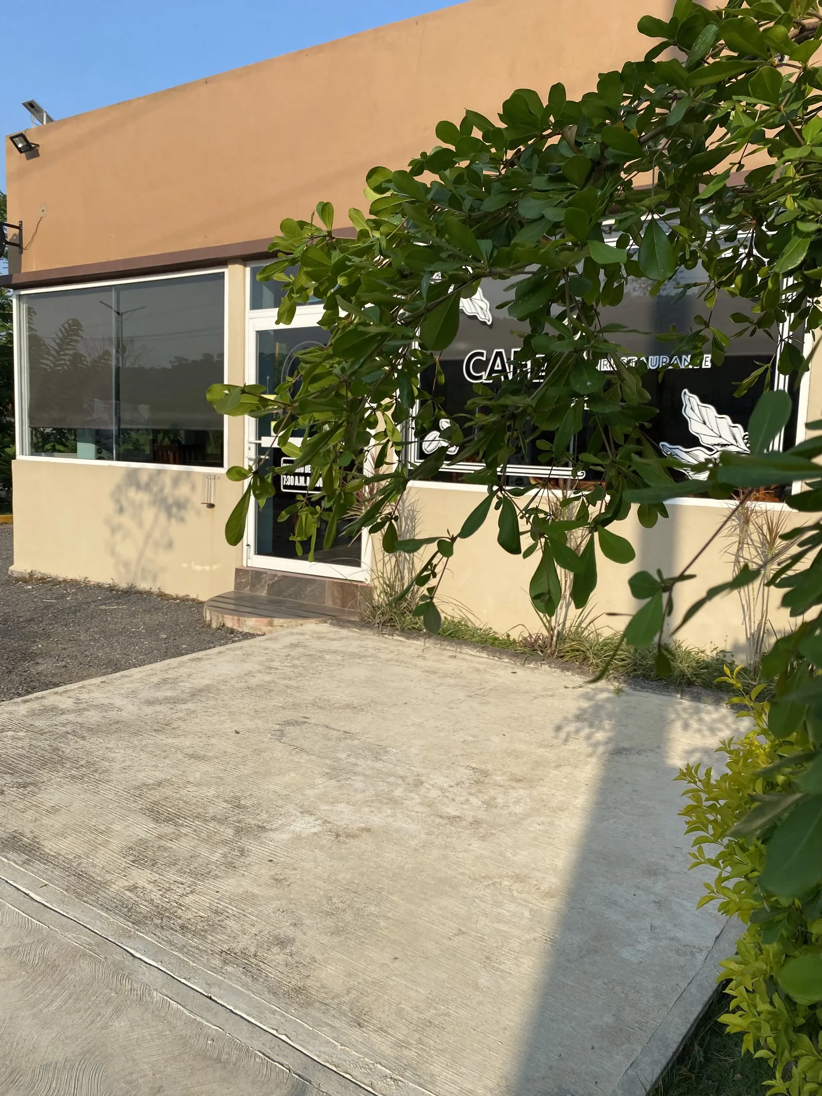 Café 212 Restaurante image 8