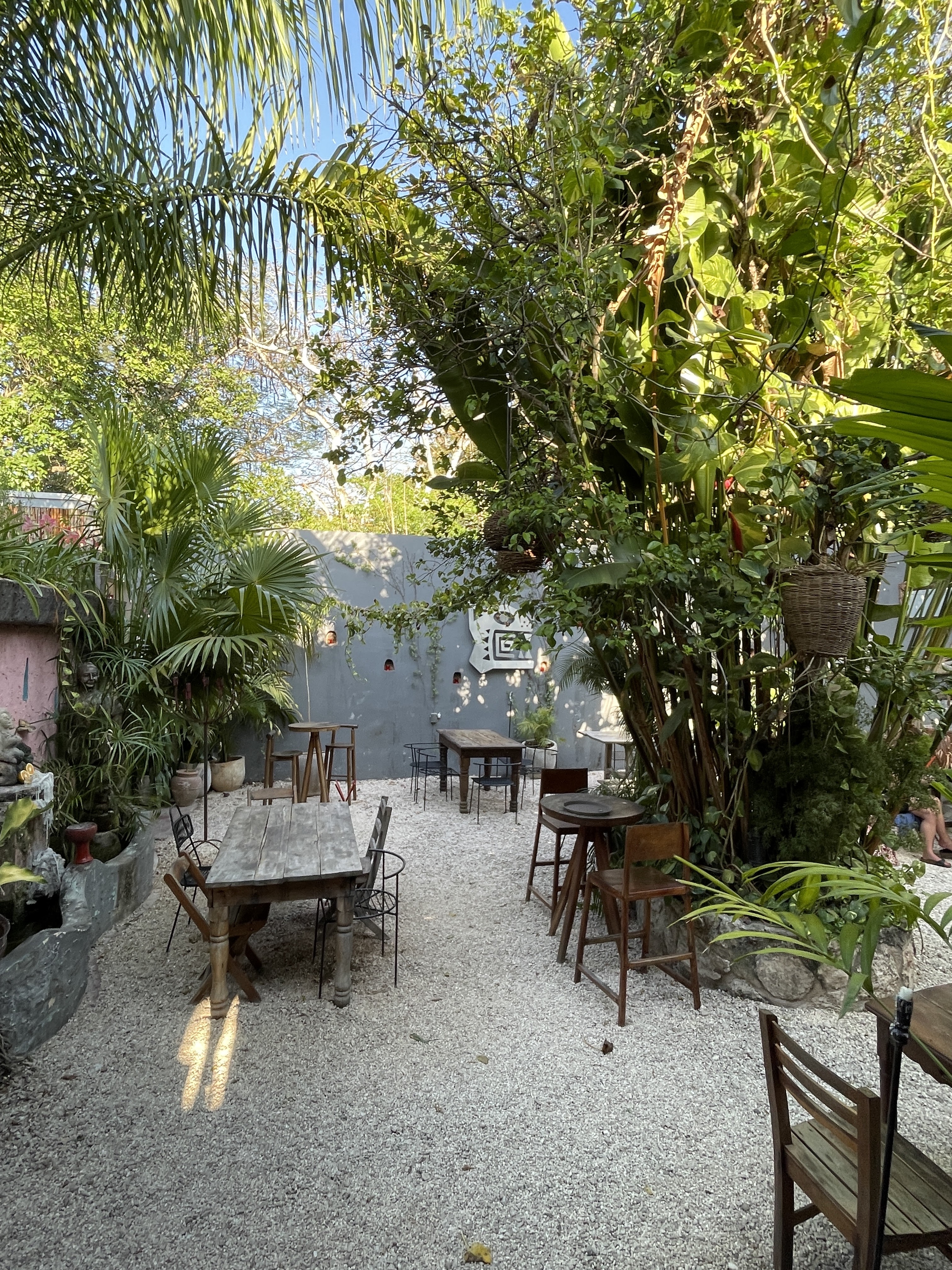 CONATO VALLADOLID image 1