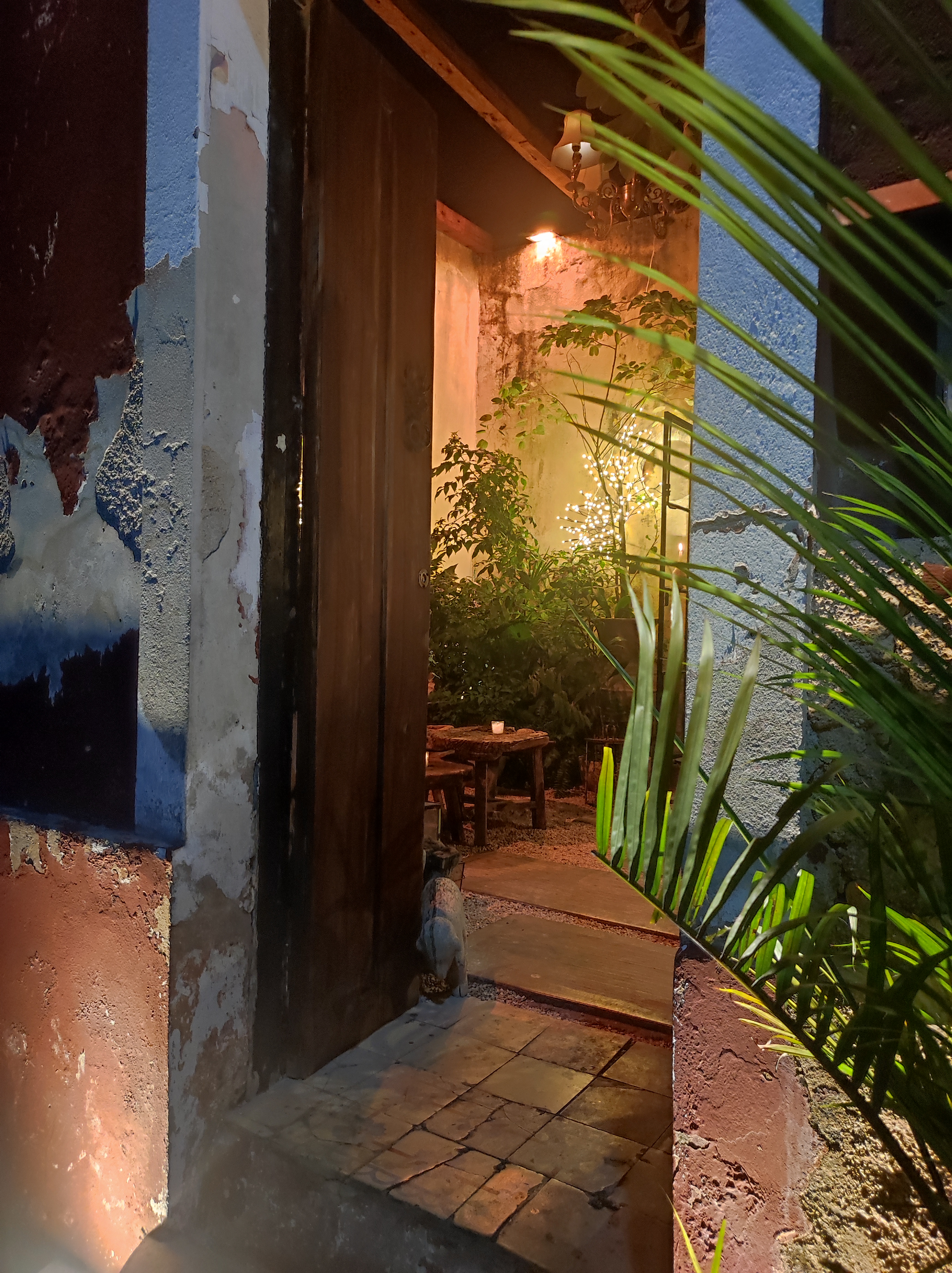 CONATO VALLADOLID image 5