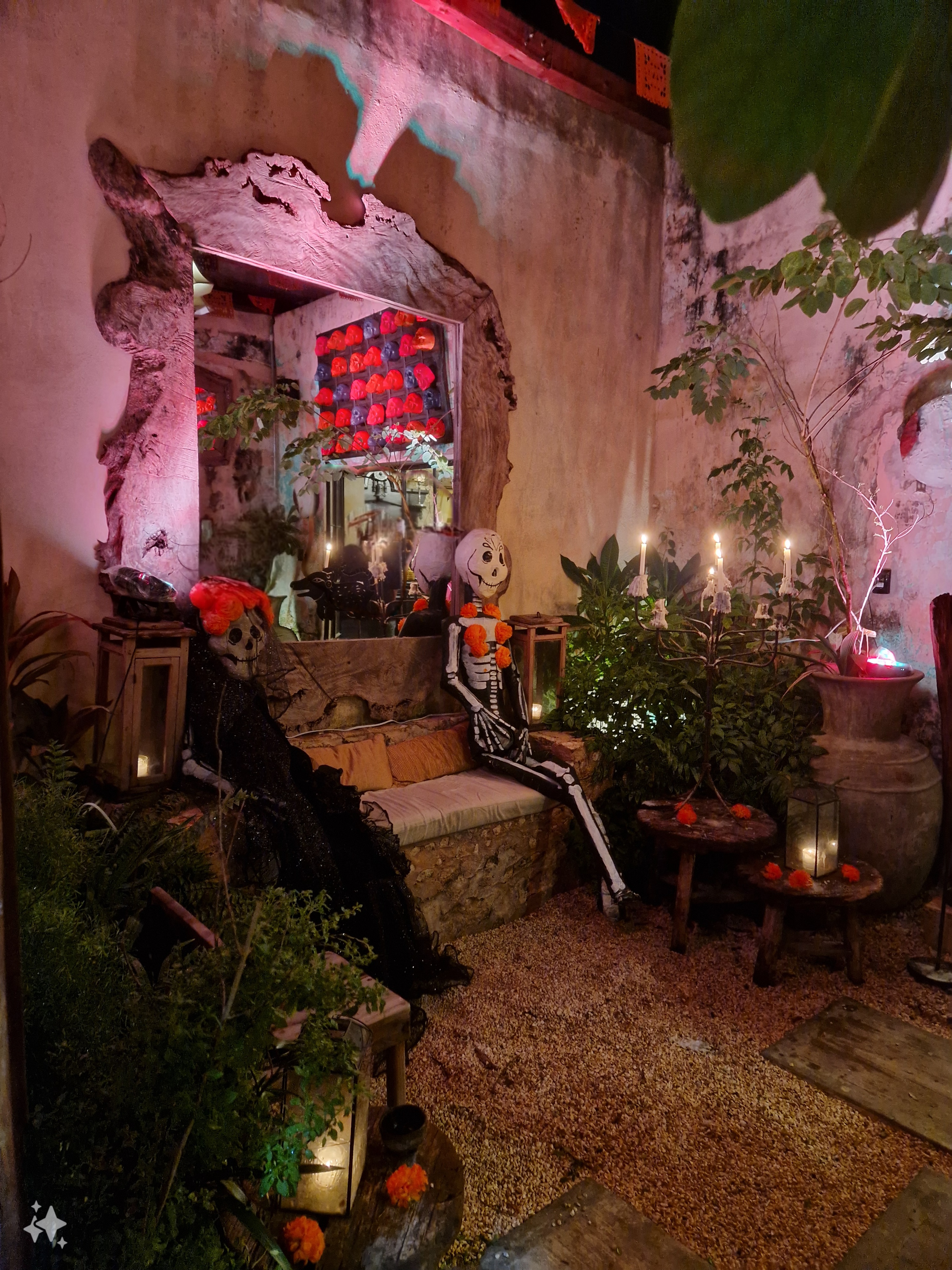 CONATO VALLADOLID image 6