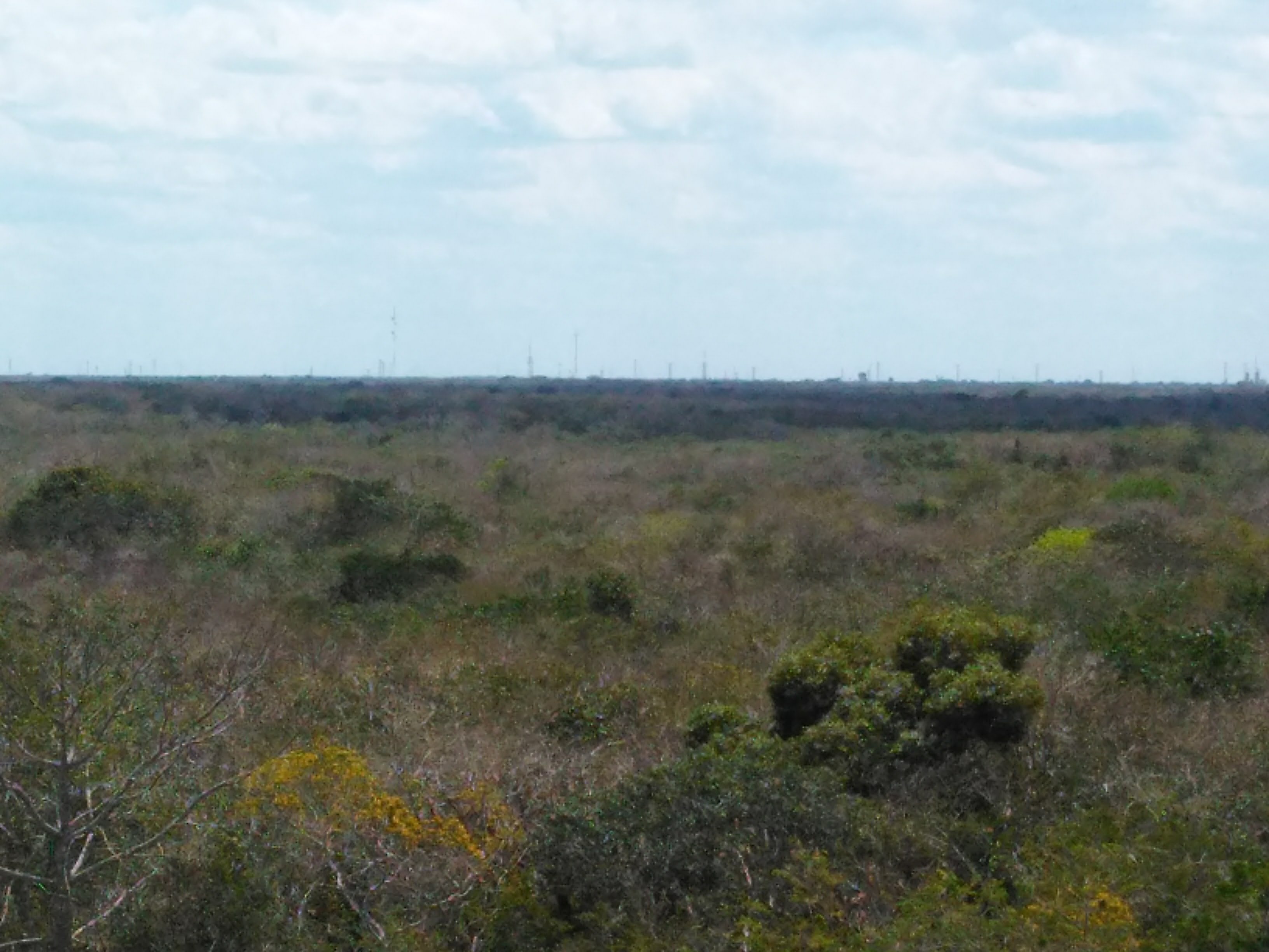 La Tía Restaurante image 10