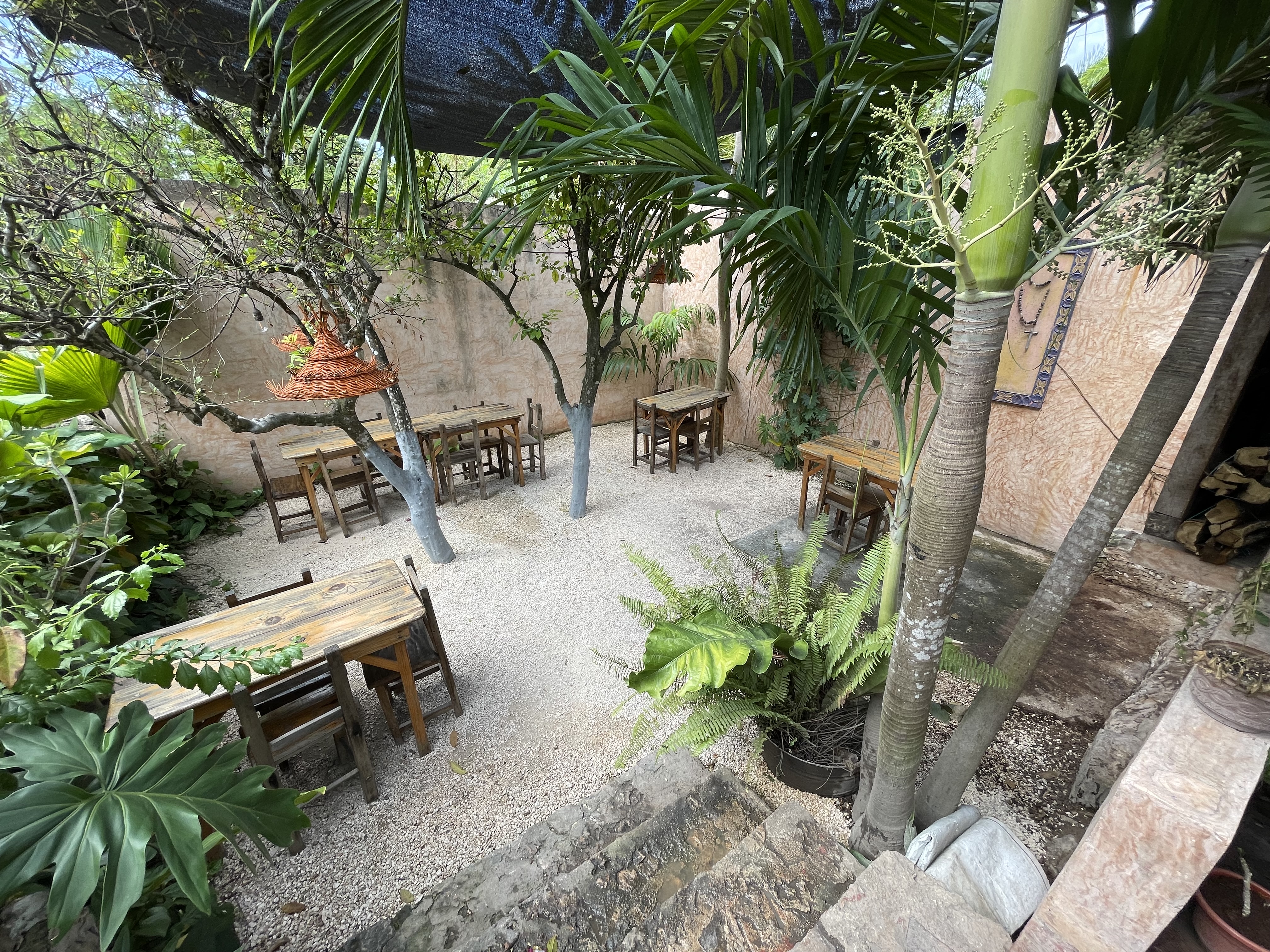 La Palapita de los Tamales image 7