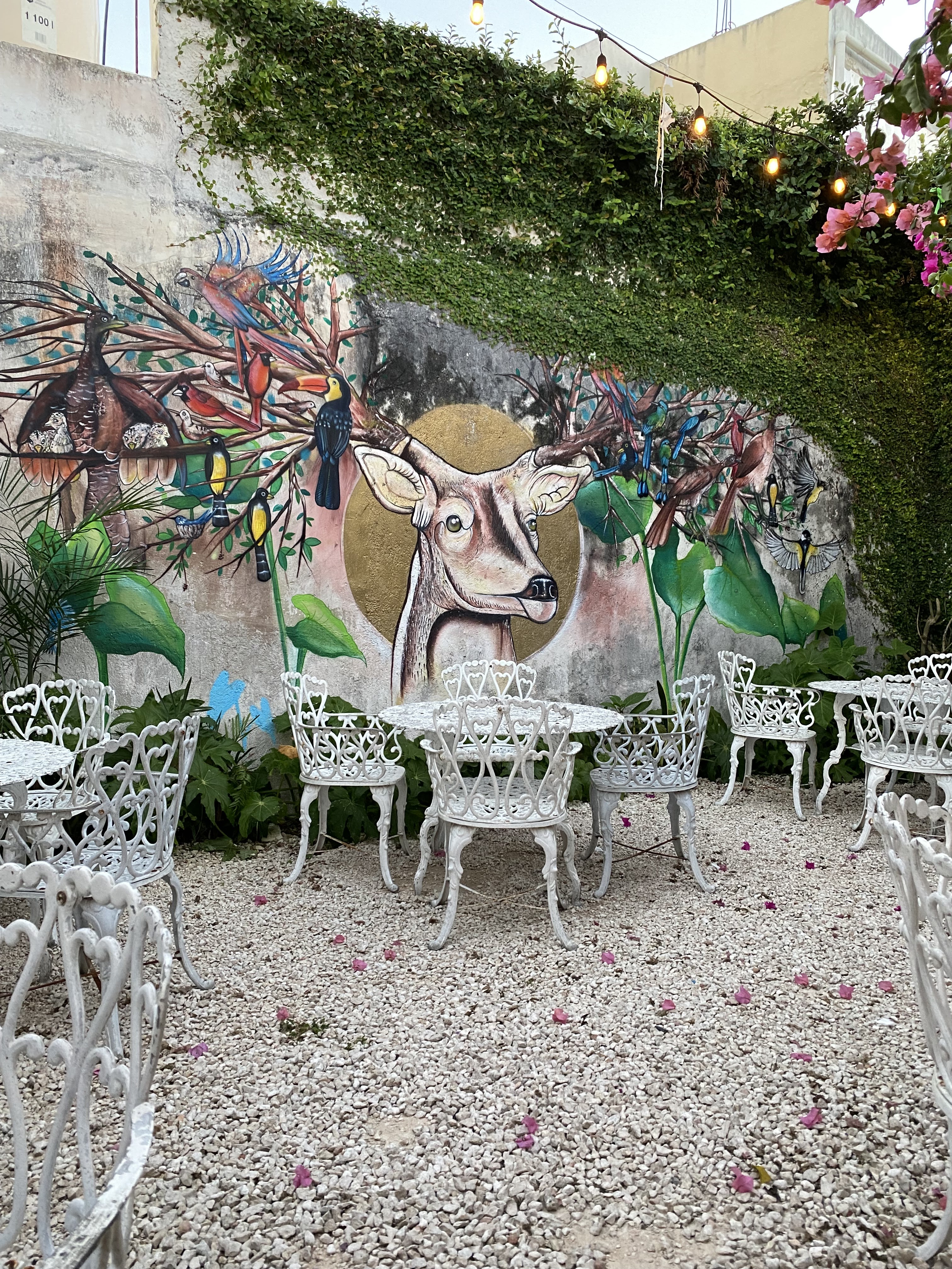 Yakunaj Cocina Mexicana image 10