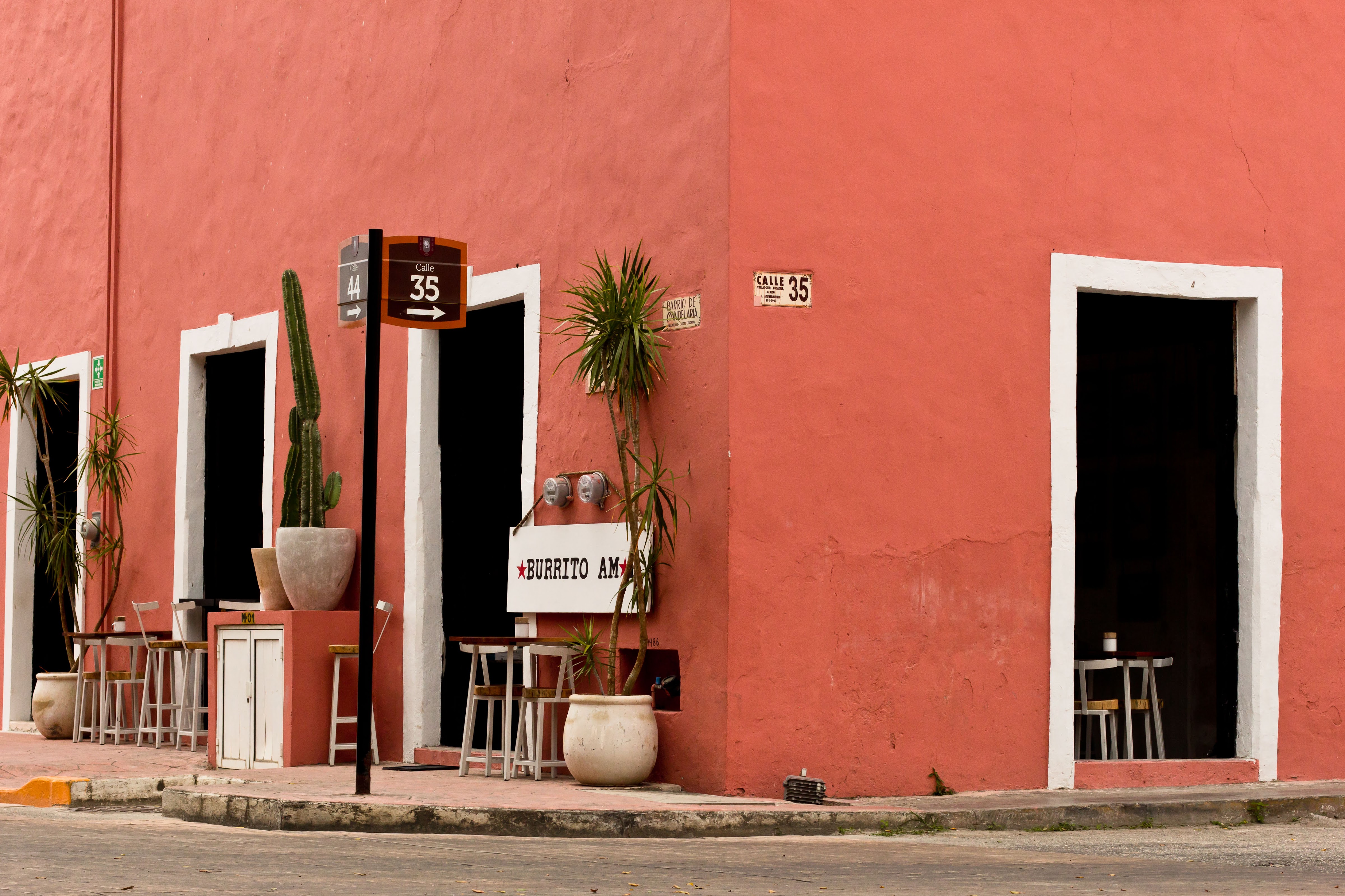 Burrito amor Valladolid image 1