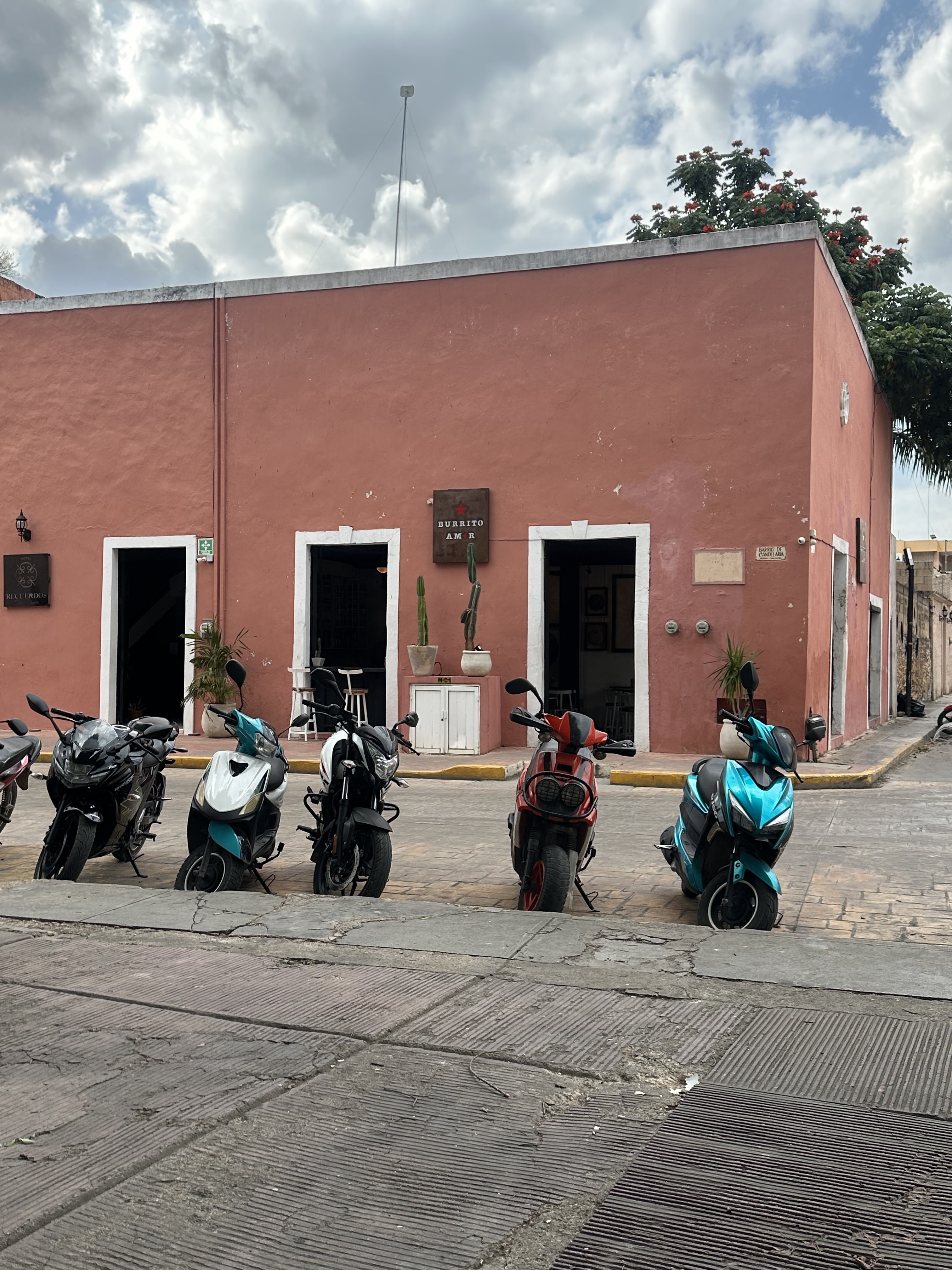 Burrito amor Valladolid image 9