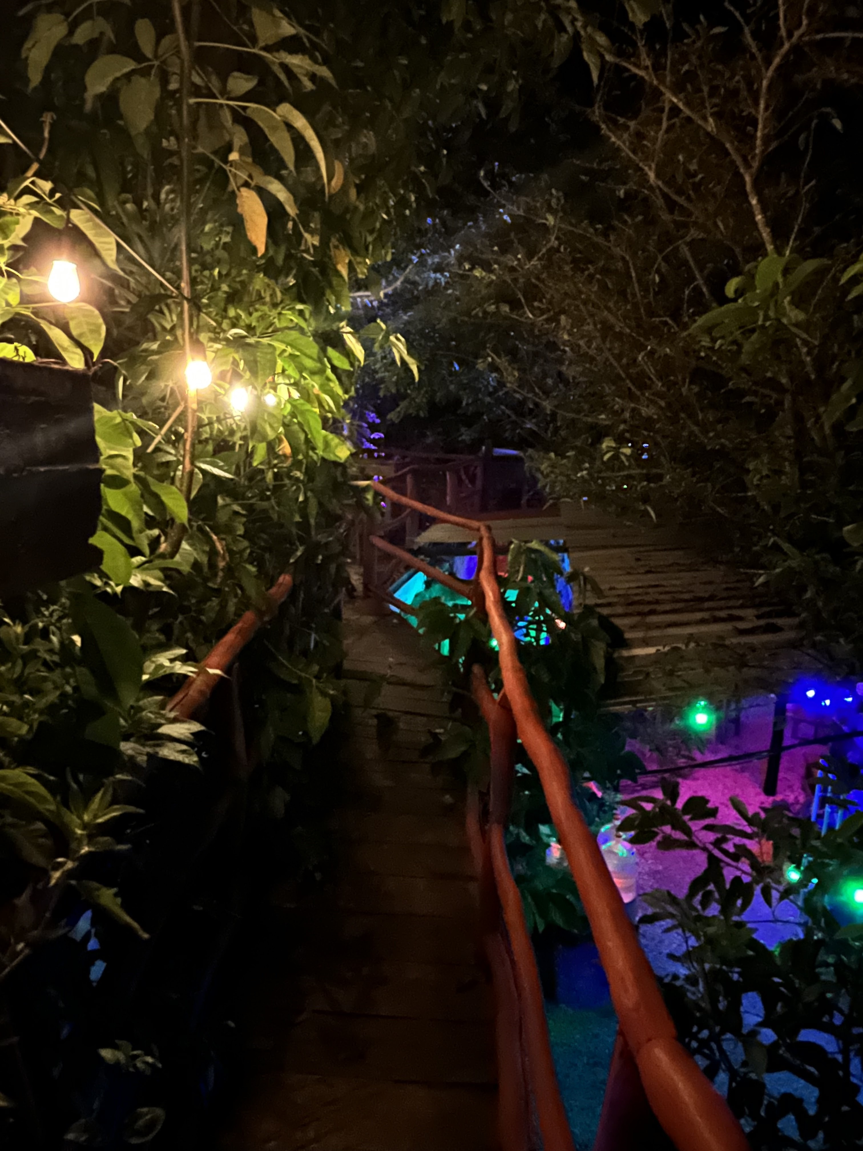 Cafeina Bistro image 6