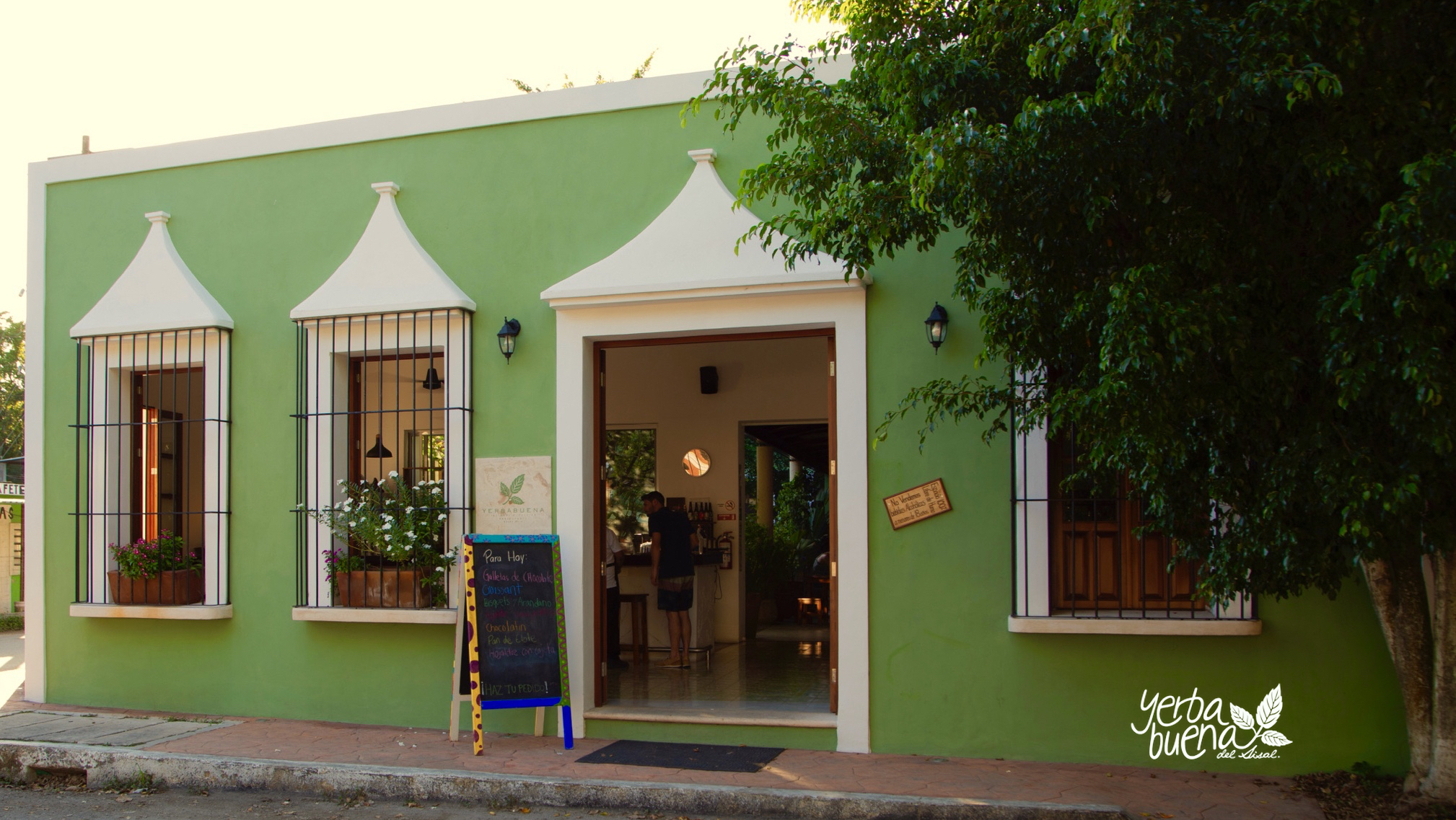 Yerbabuena del sisal image 1