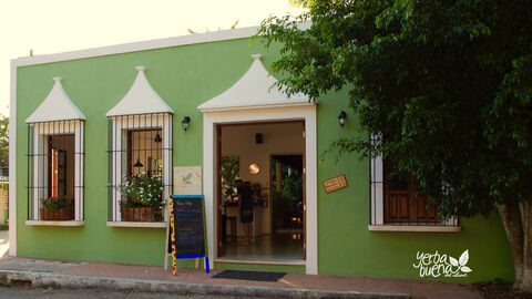 Yerbabuena del sisal image 1