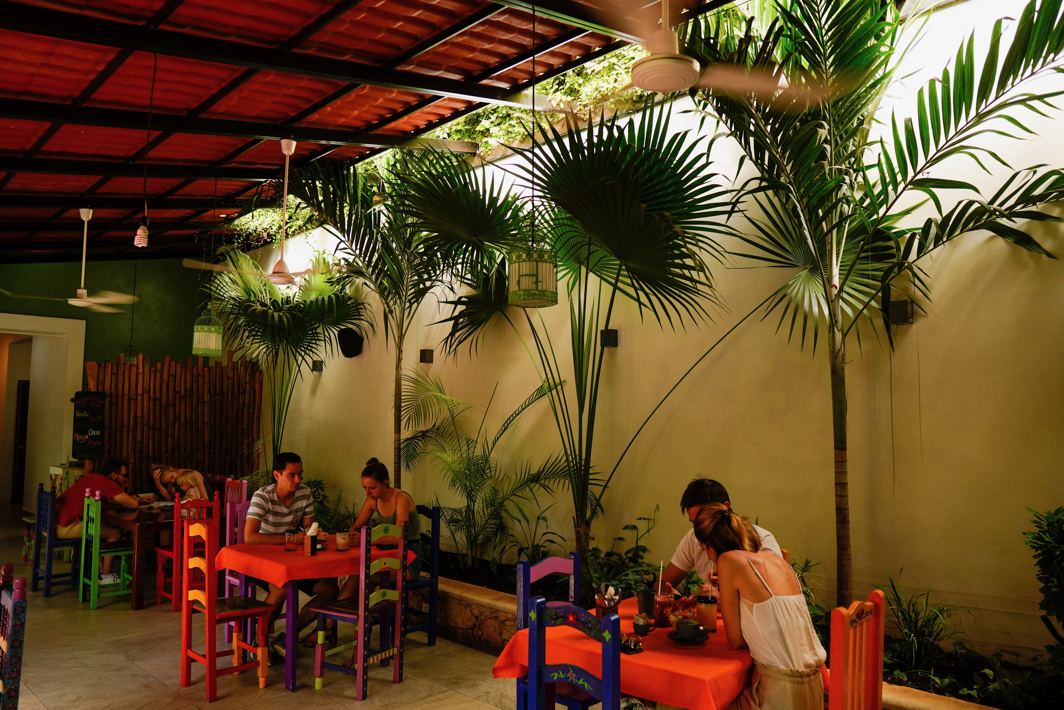 Yerbabuena del sisal image 4