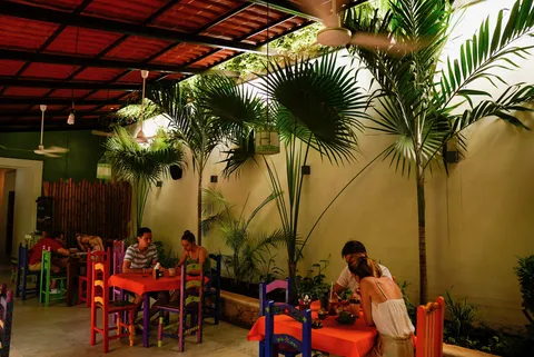Yerbabuena del sisal image 4