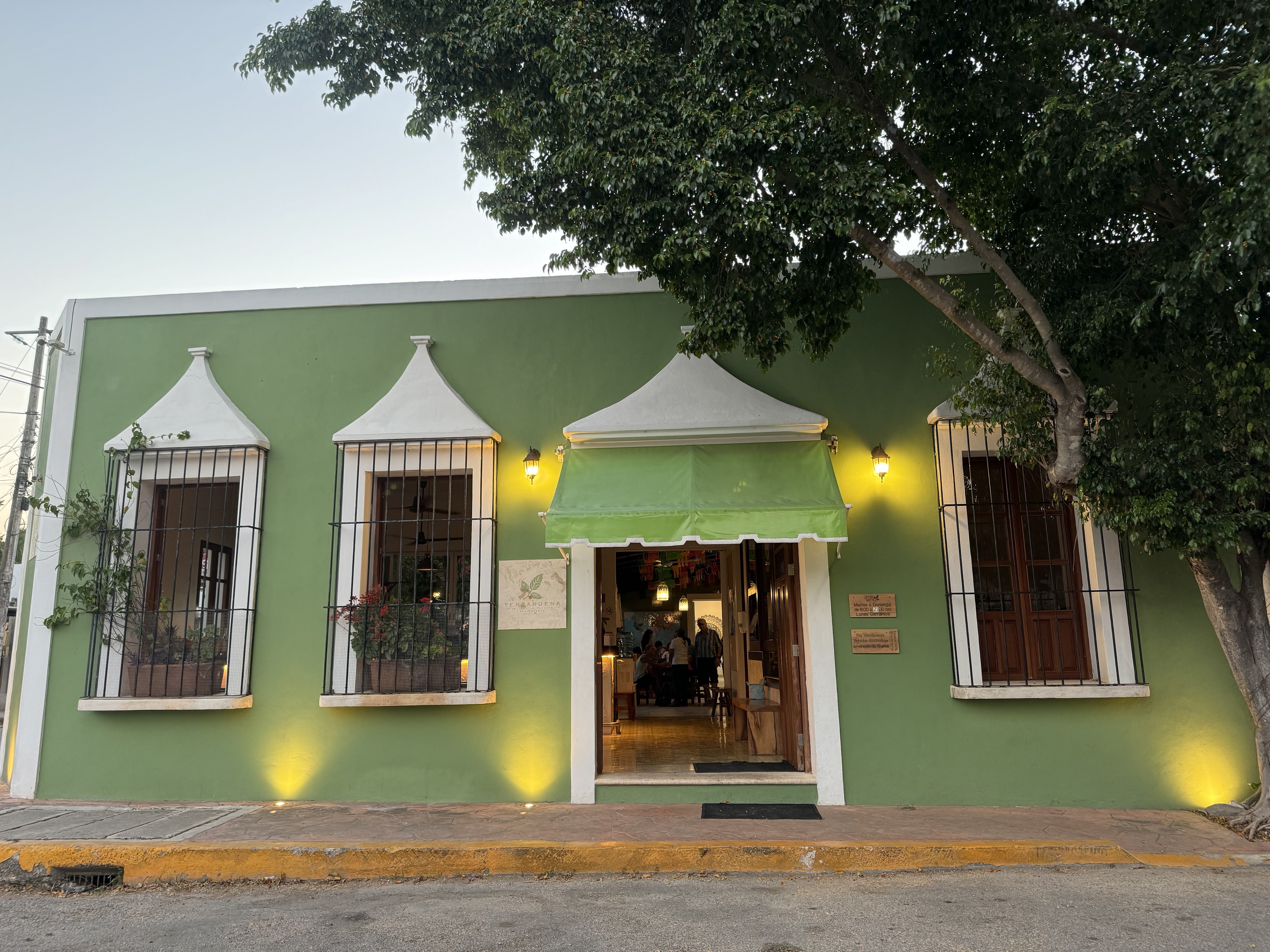 Yerbabuena del sisal image 5