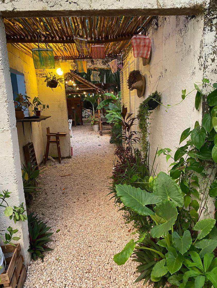 Pak'al Restaurante & Café image 7