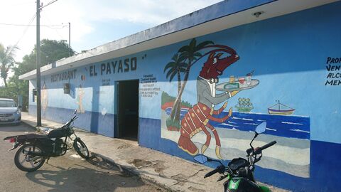 Payaso image 1