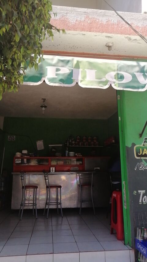Tortas pilows image 2