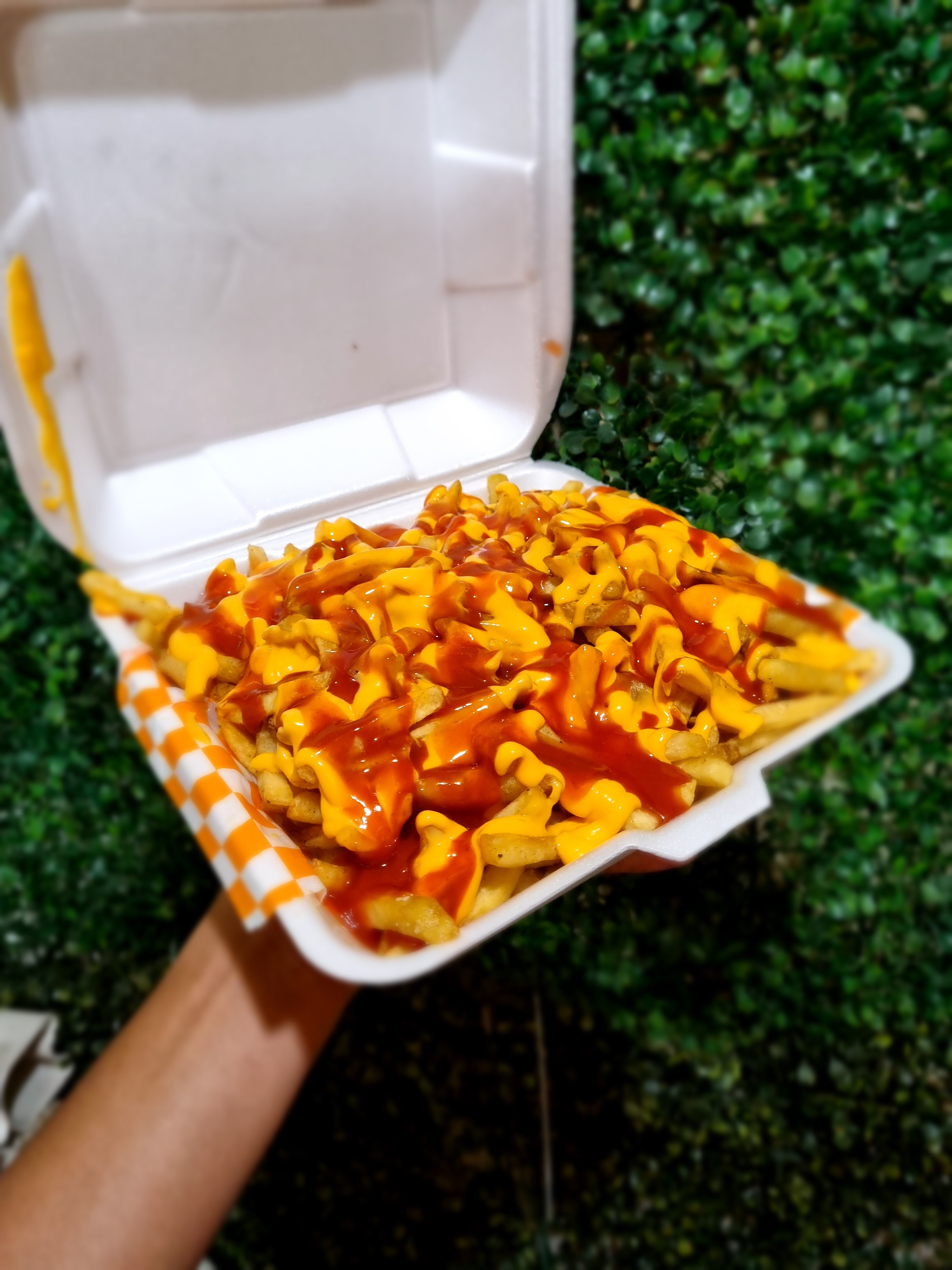 Alitas el Secreto image 7