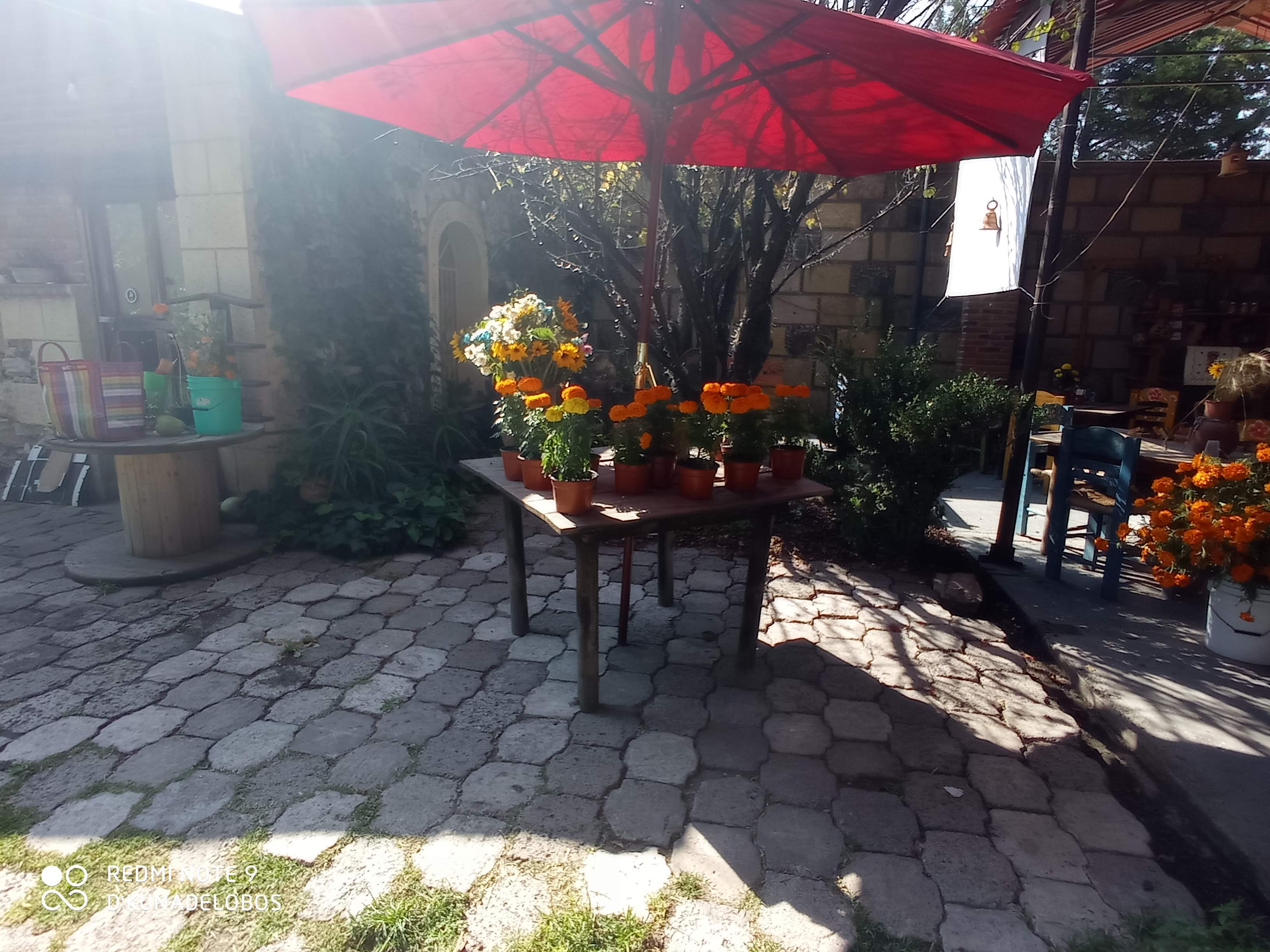 Los Ciruelos, Restaurante-Granja image 1