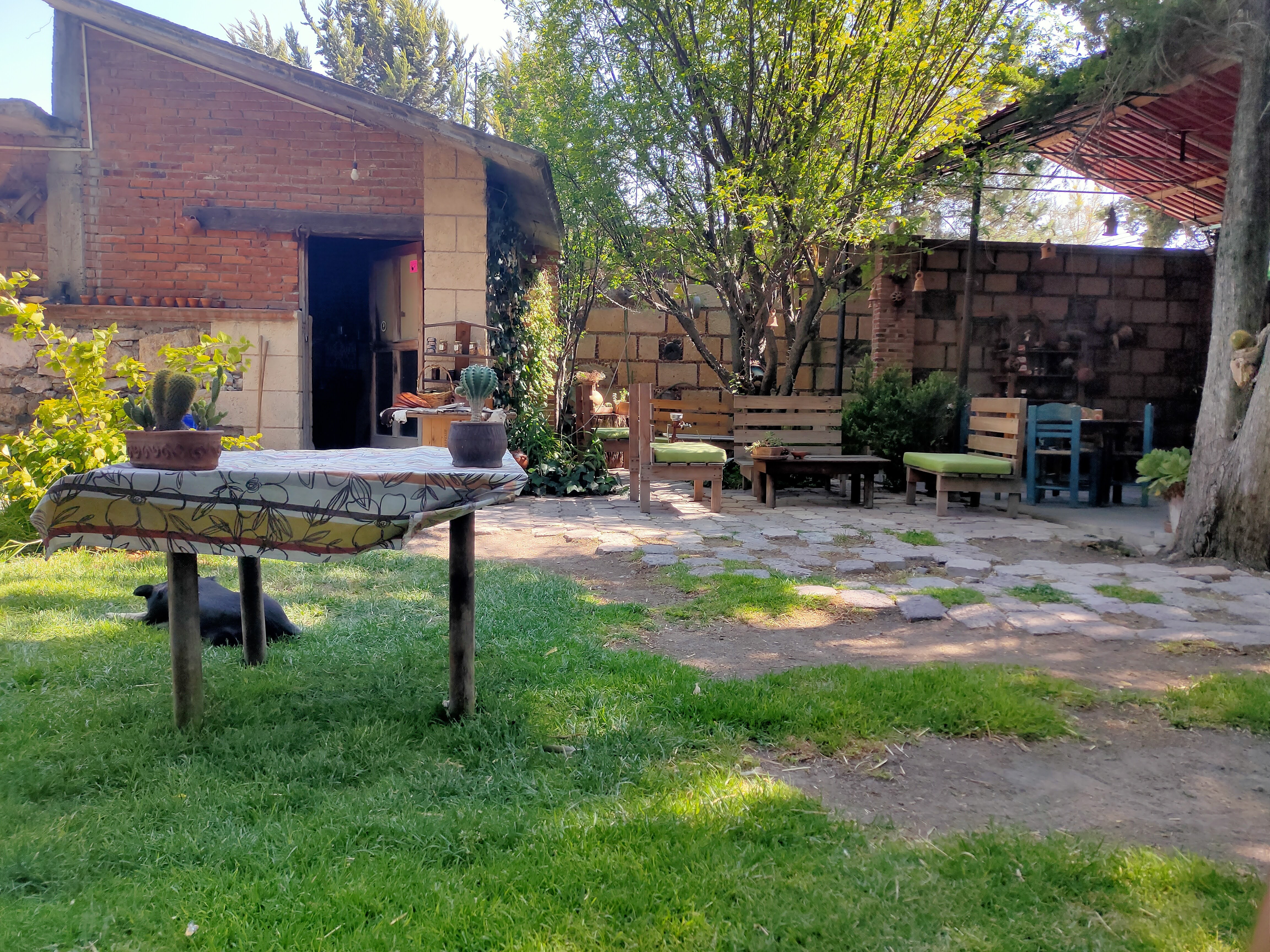 Los Ciruelos, Restaurante-Granja image 3