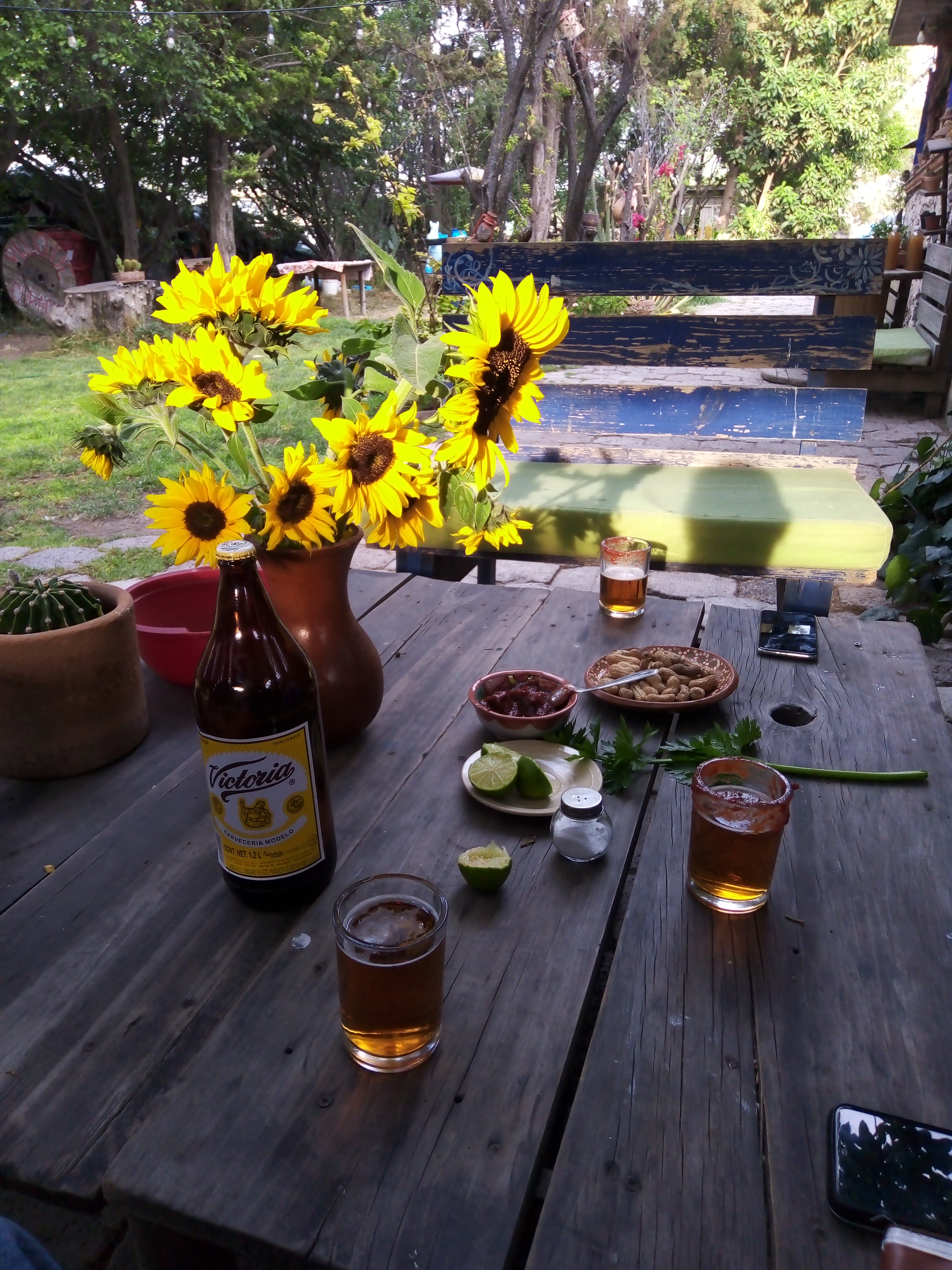 Los Ciruelos, Restaurante-Granja image 5