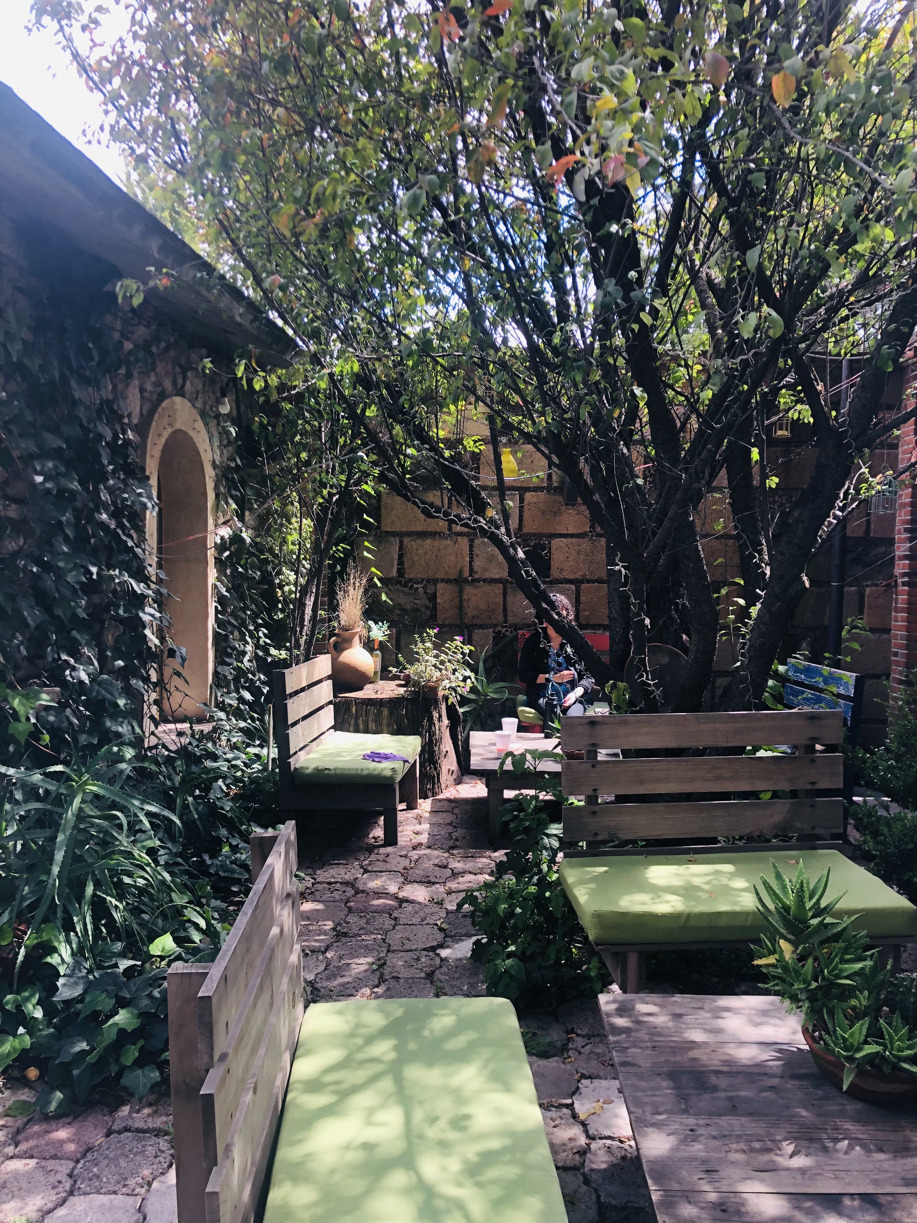 Los Ciruelos, Restaurante-Granja image 7