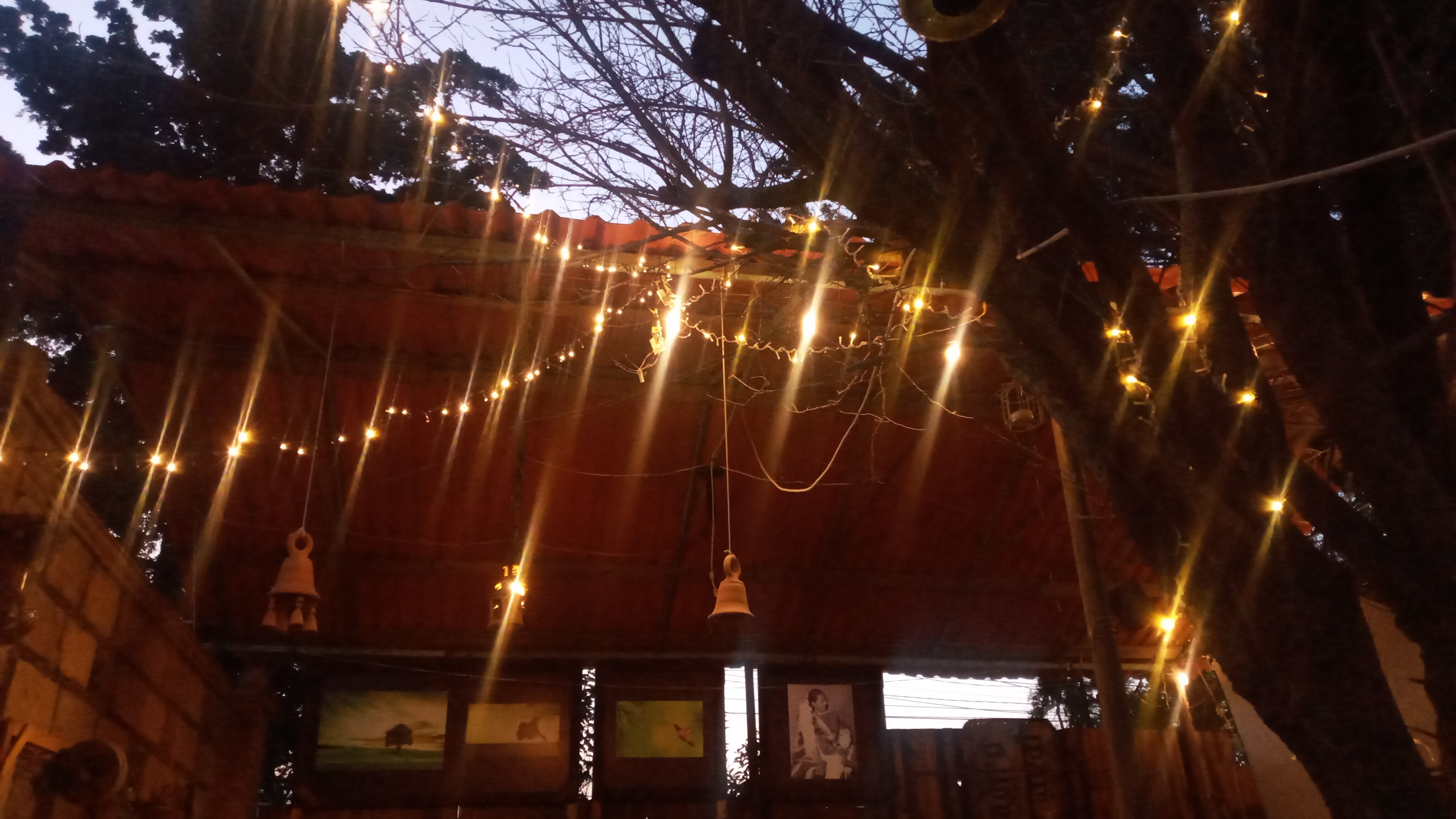 Los Ciruelos, Restaurante-Granja image 8