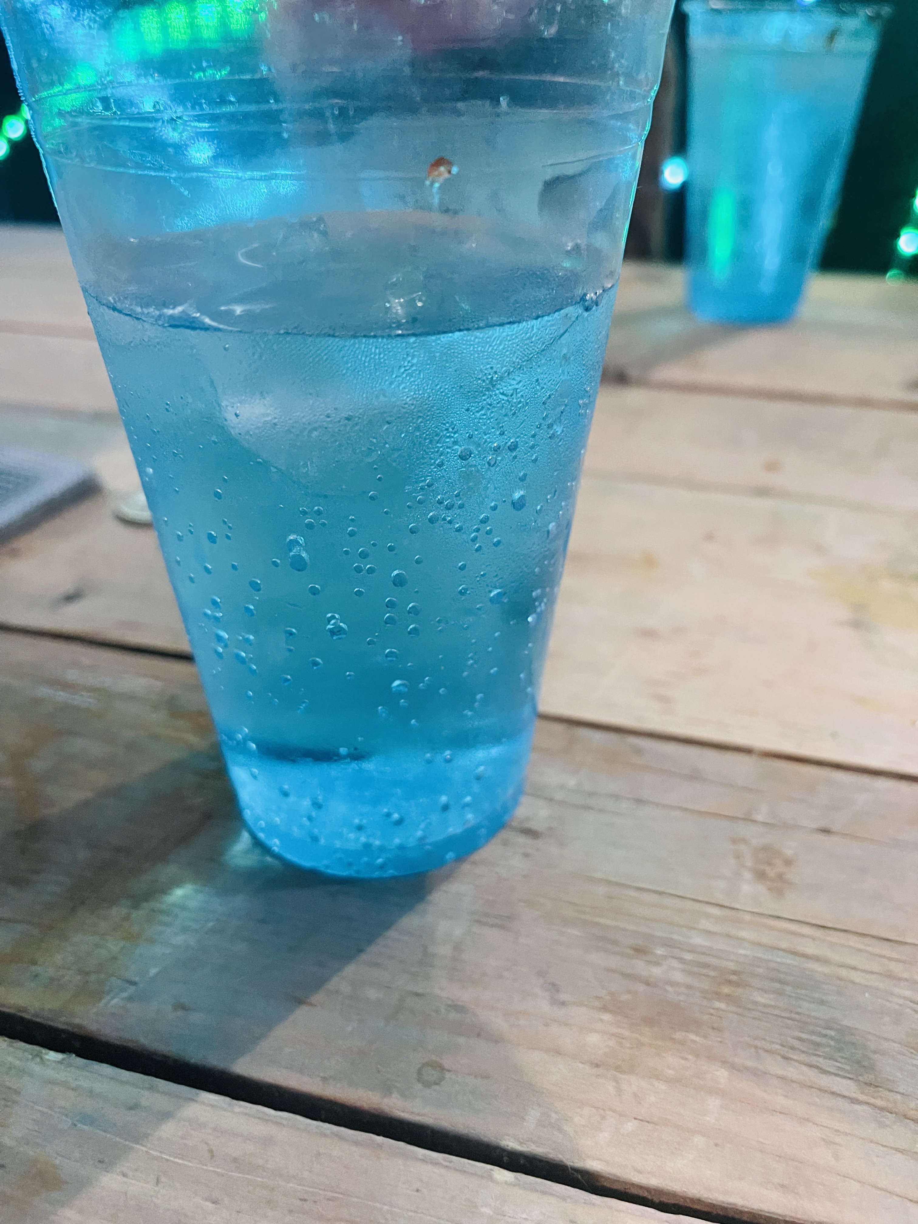 El Tlacuache 2 image 3