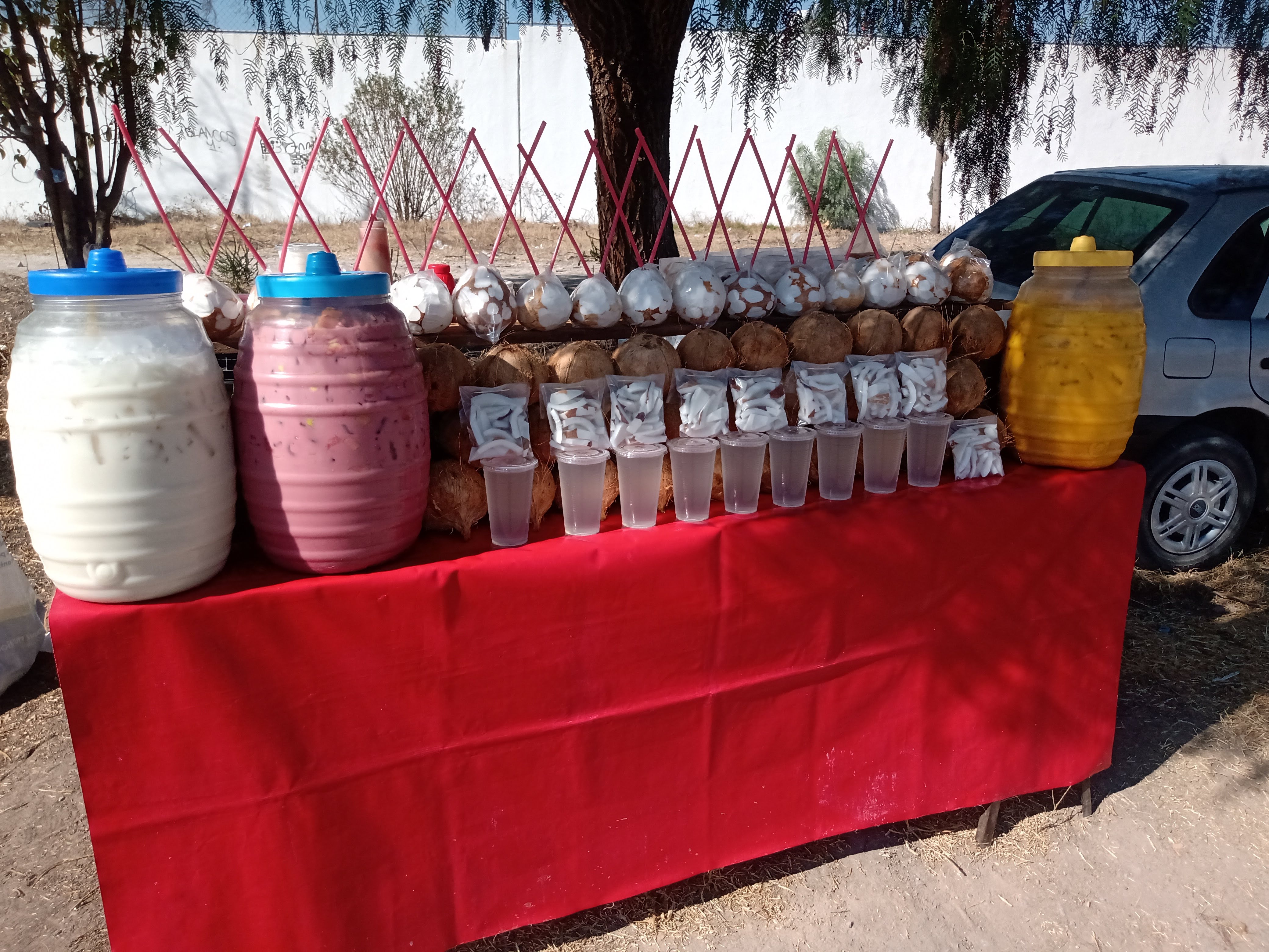 Carnitas Dorantes image 10