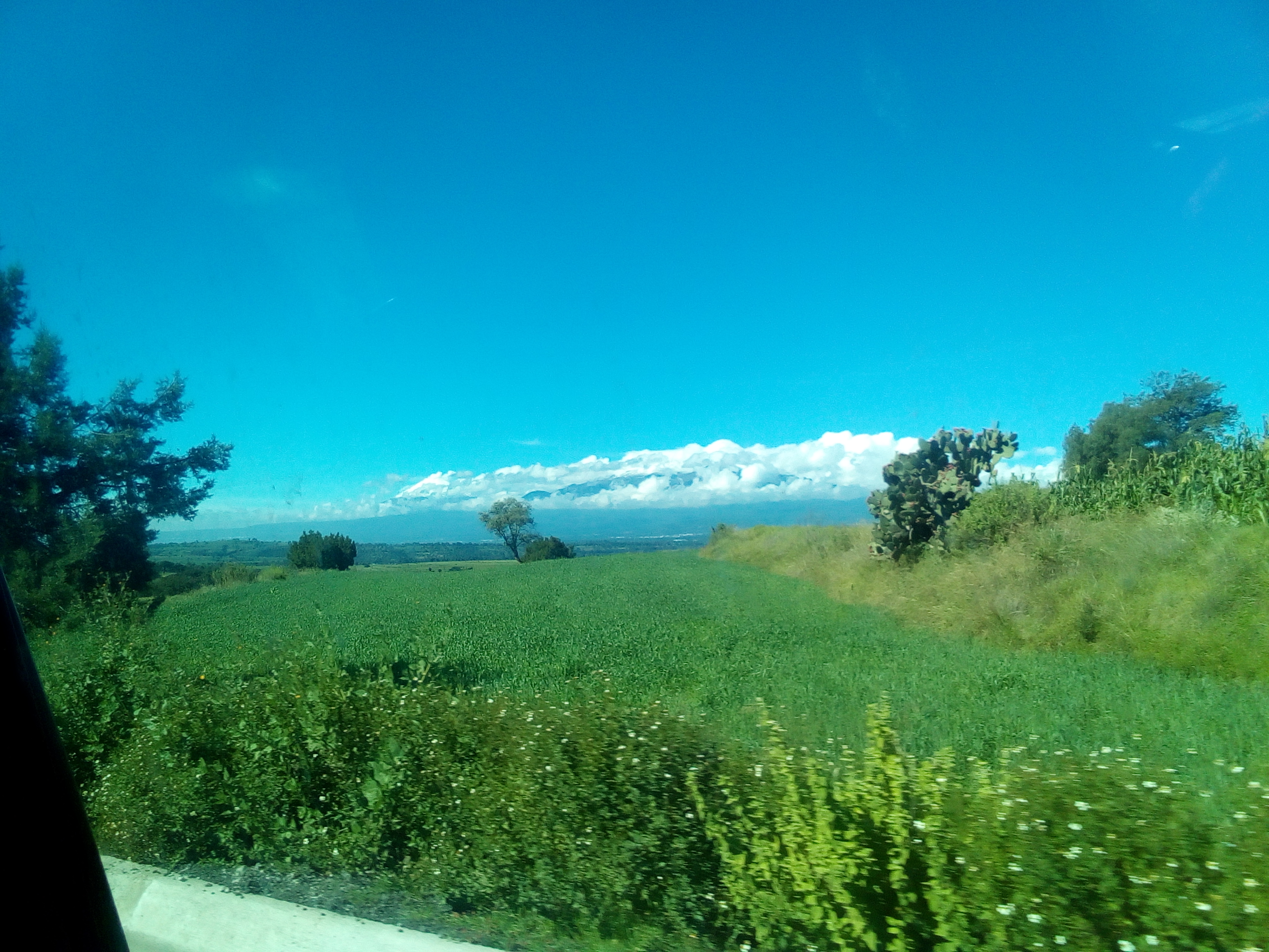 Barbacoa El Molcajete De Socorro Islas image 2