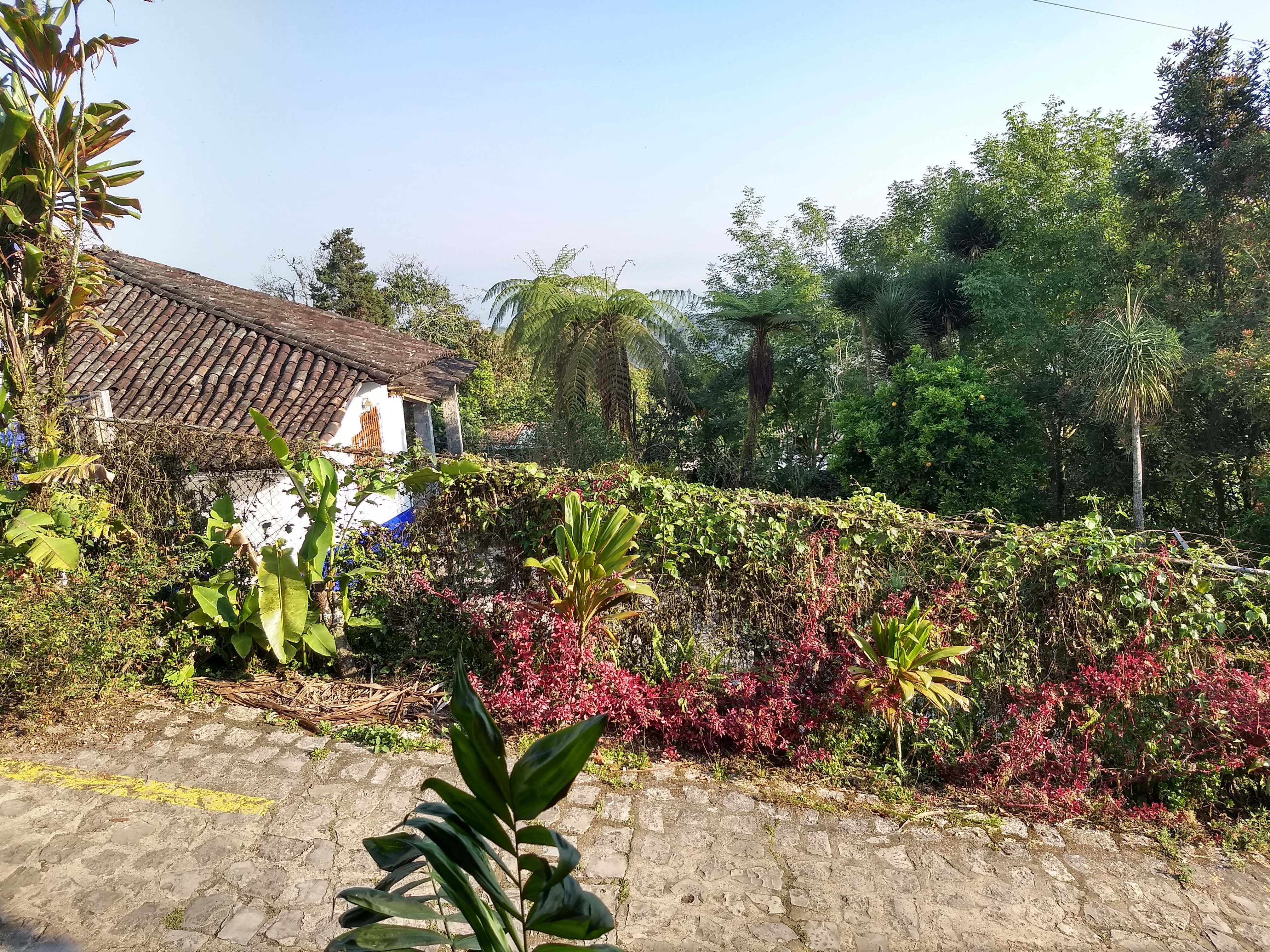 Hotel Quetzalin image 3