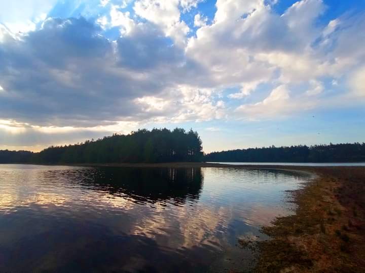 Mariscos santa ana image 4
