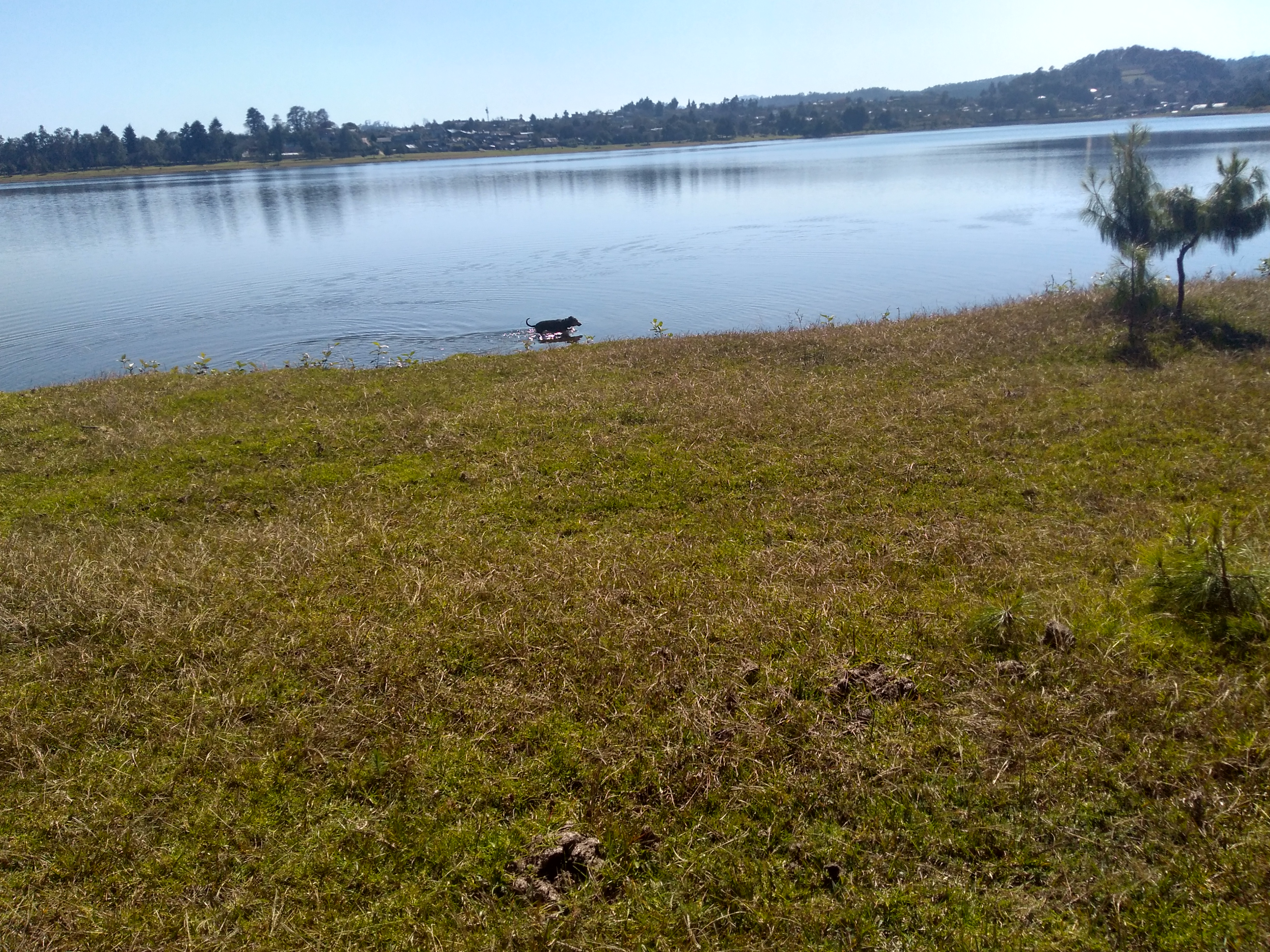 La Trucha de Oro image 7