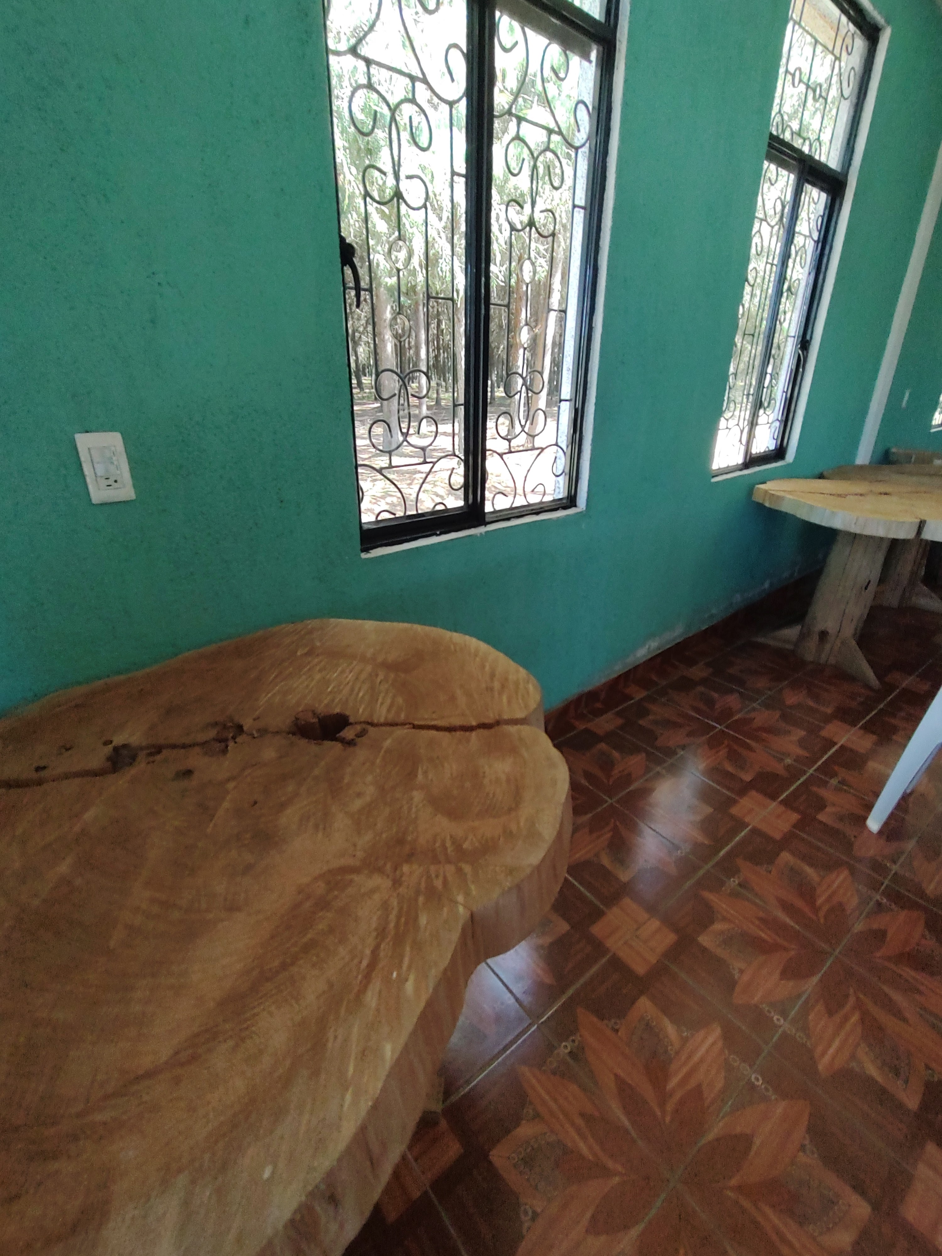 Trucha y carpa "El As de Oros" image 10