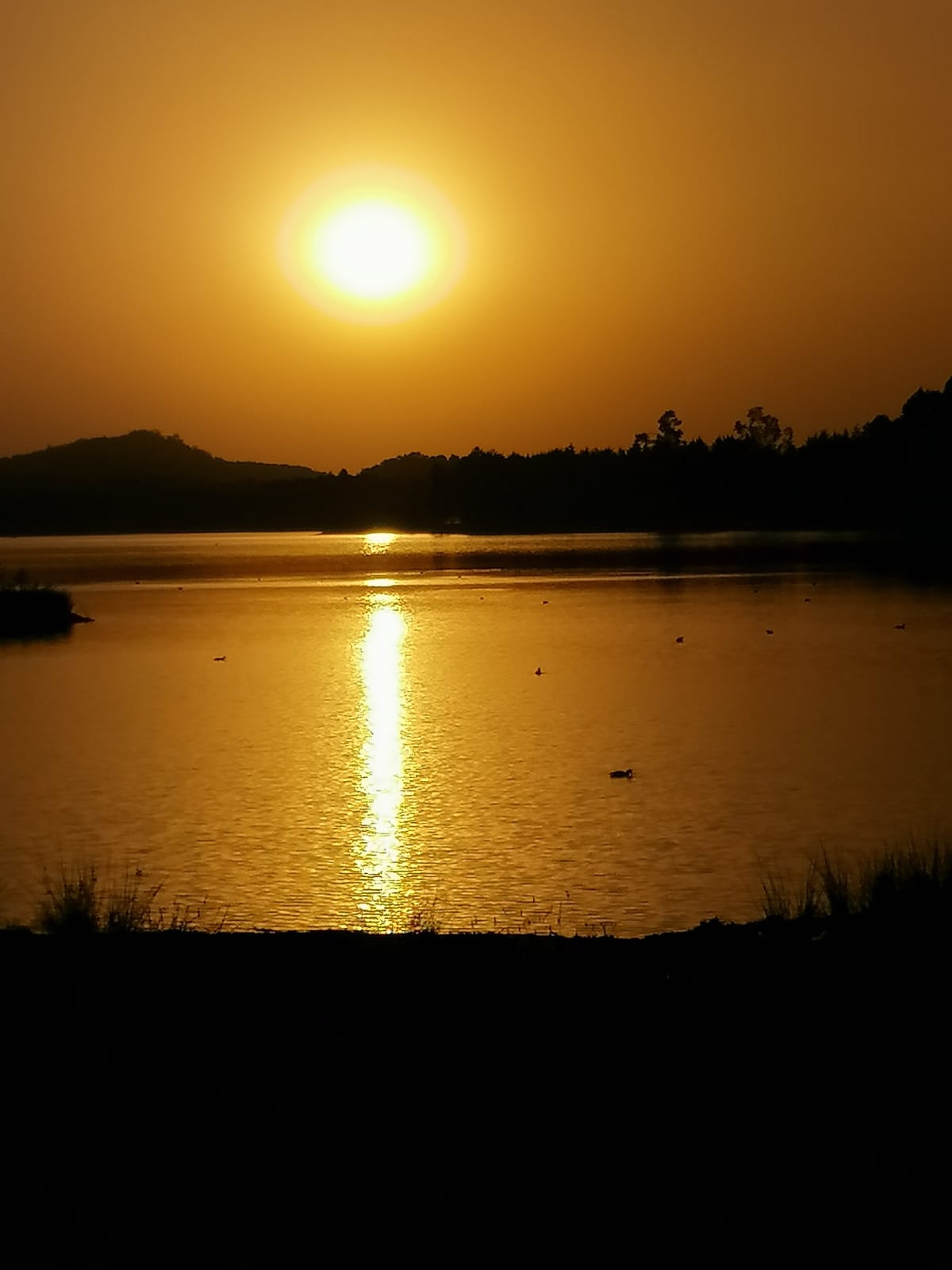 Truchas la cabaña image 4