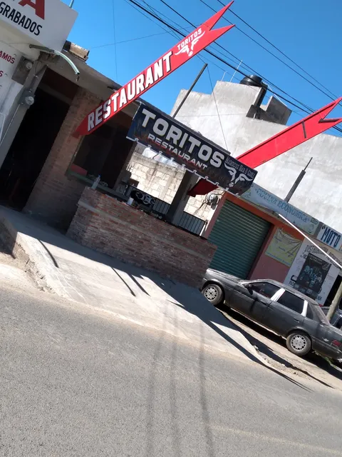 "Los Toritos de San Pedro" image 1