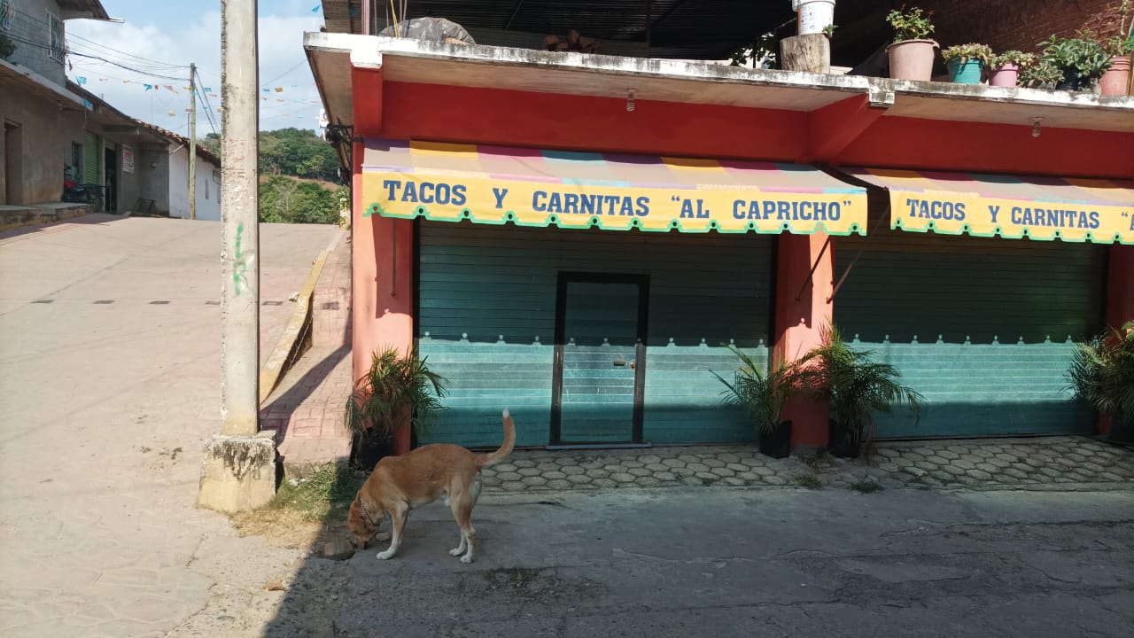 Tacos y Carnitas Al Capricho image 1