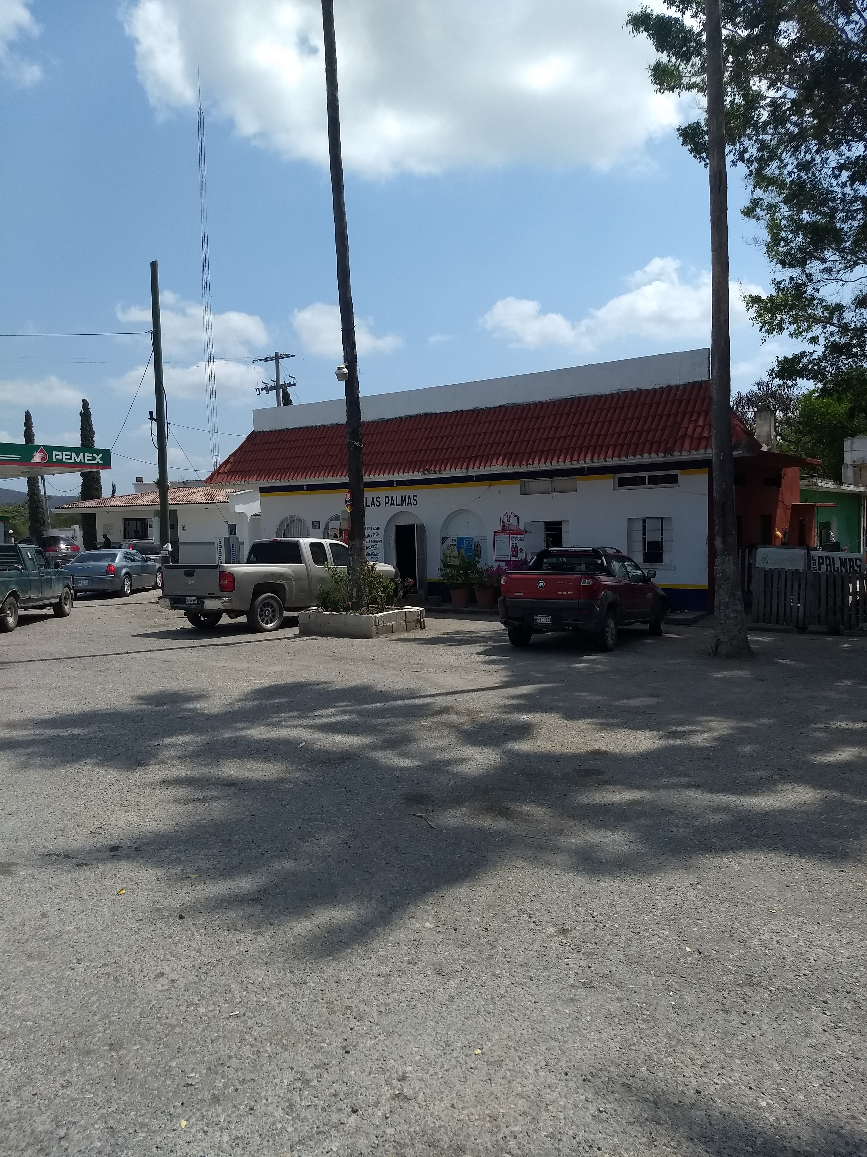Restaurante "Las Palmas" image 7