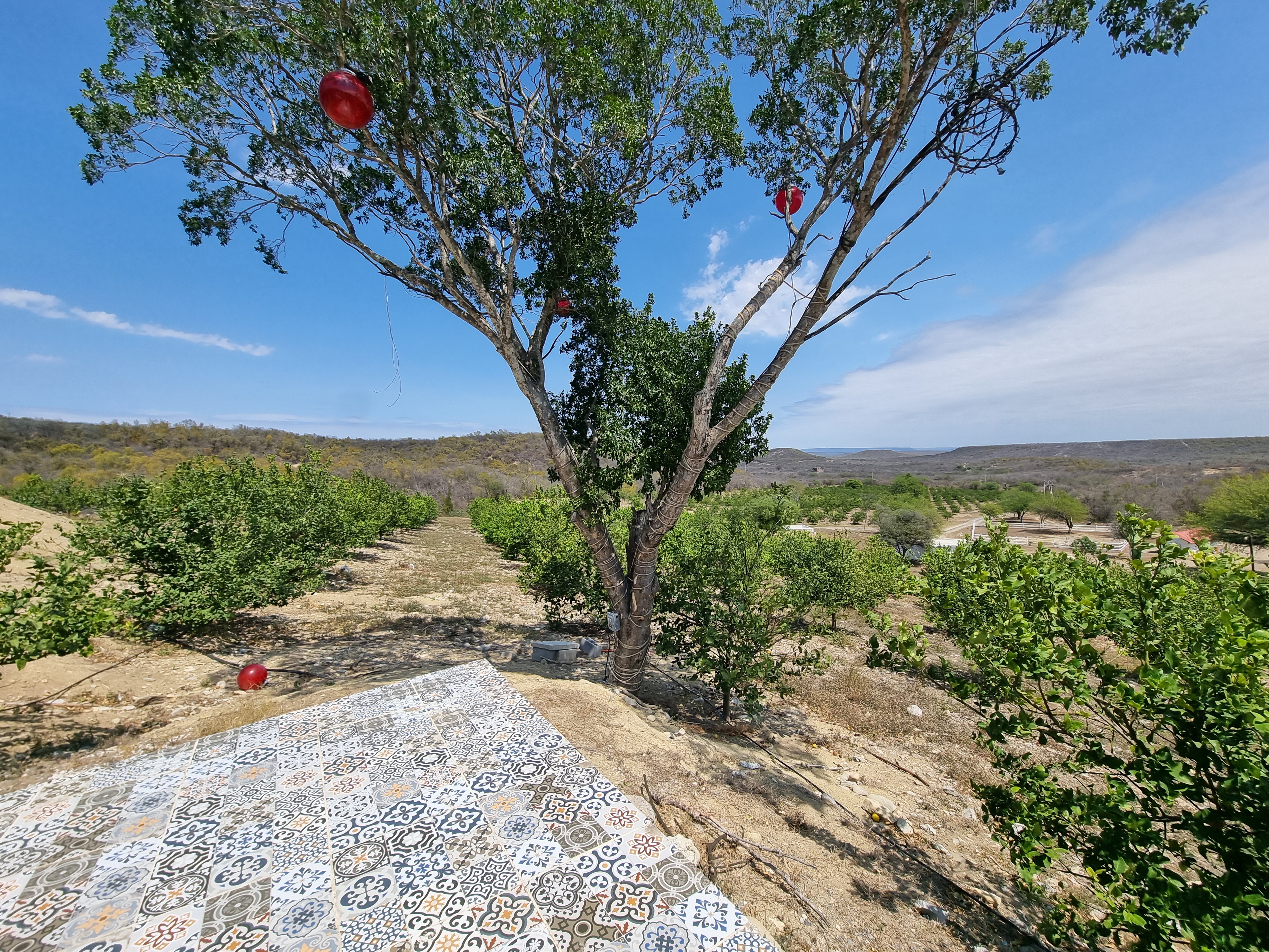 Casa Toscana image 3