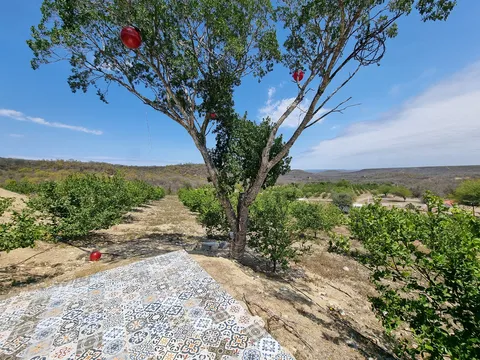 Casa Toscana image 3