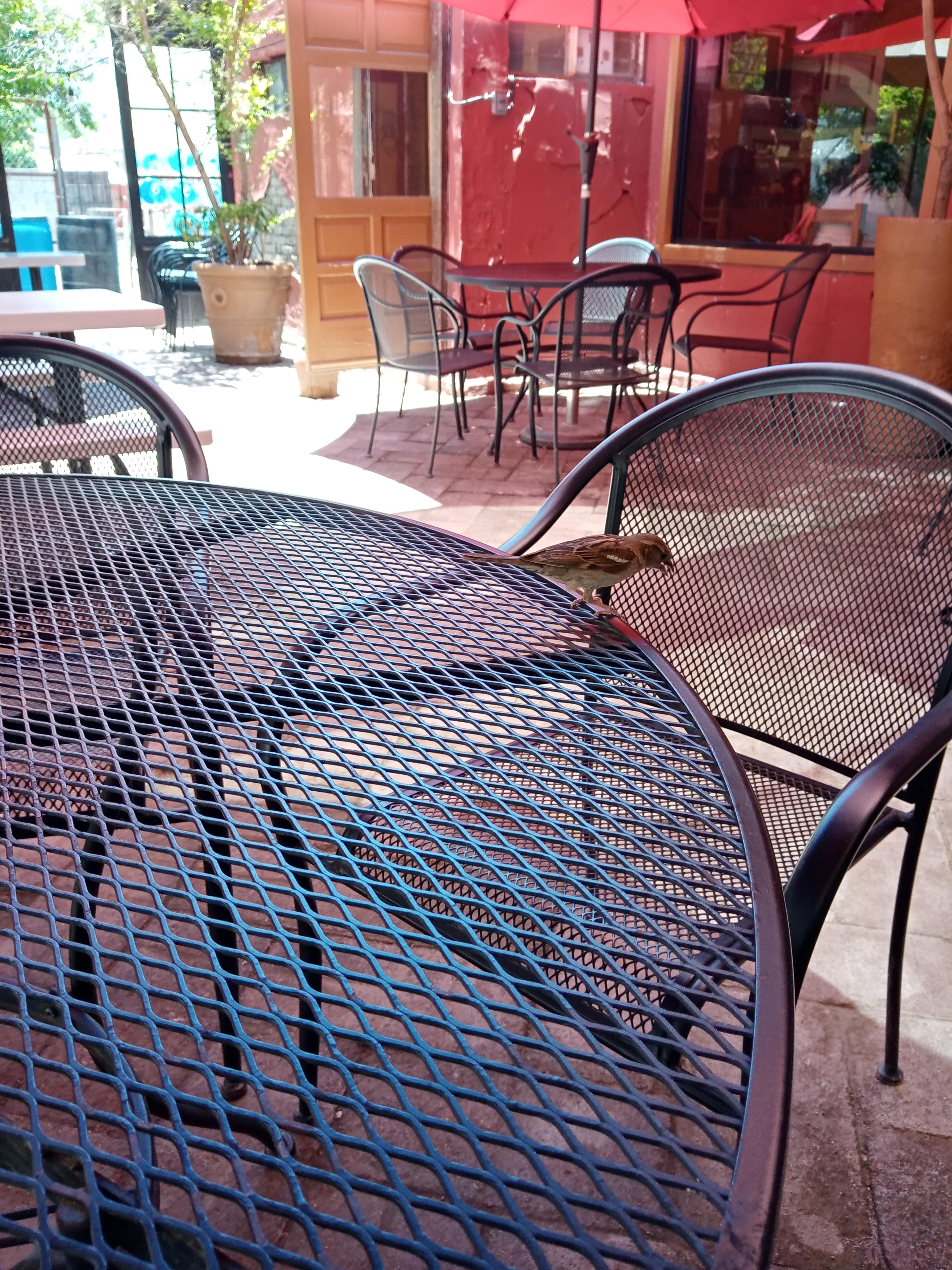 Restaurant El Rinconcito image 1